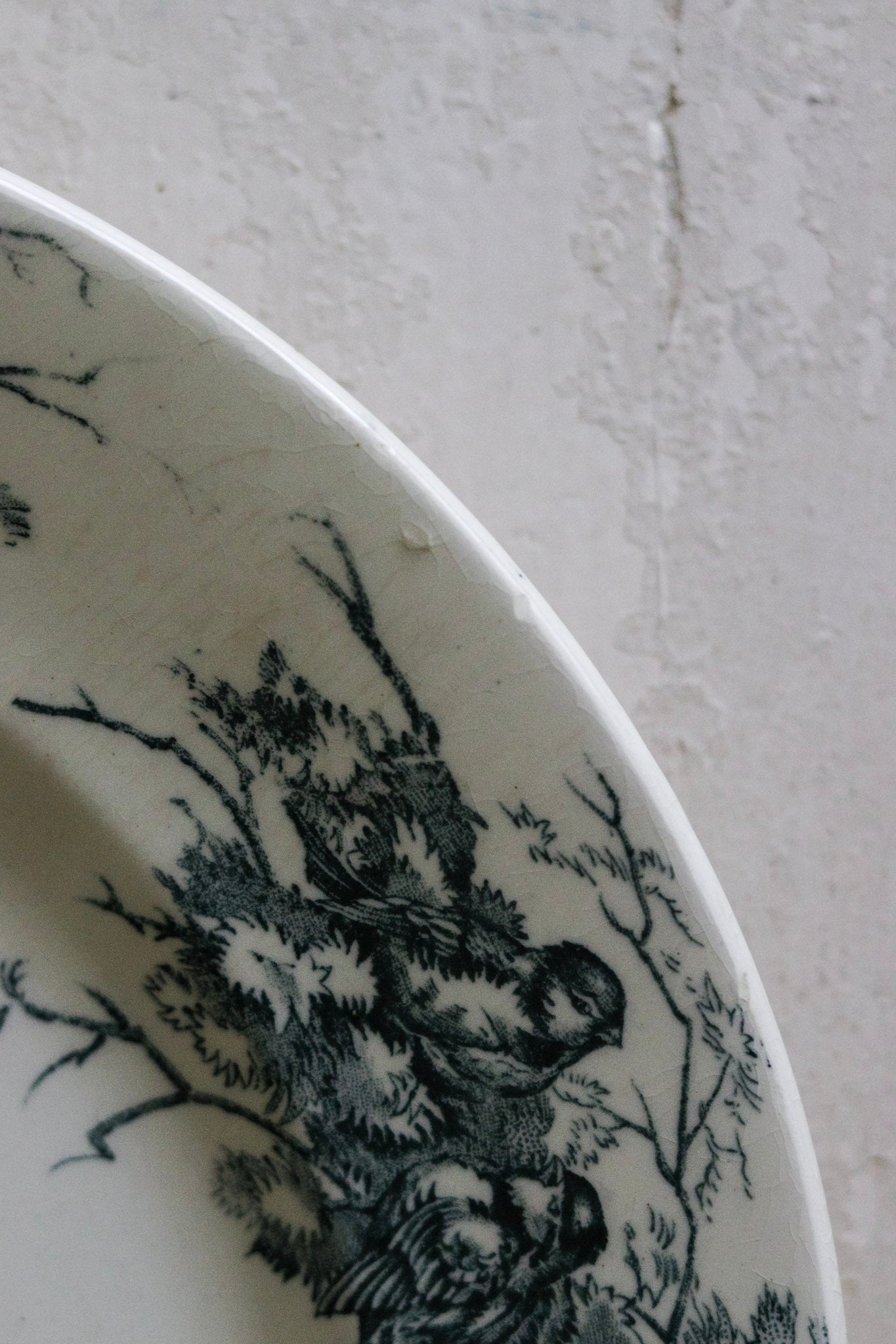 Antique French Transferware Plate with Birds