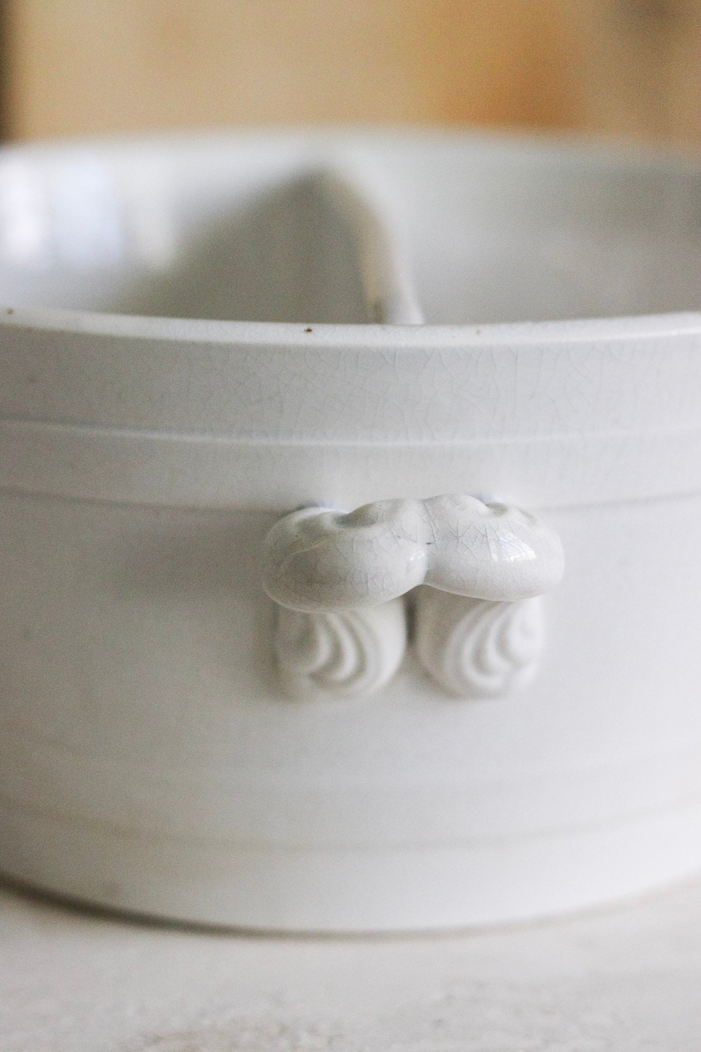 Antique French Ironstone Divided Basin