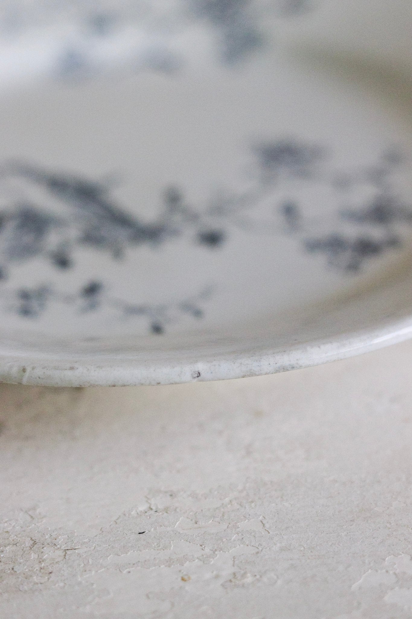 Antique French Transferware Plate with Birds