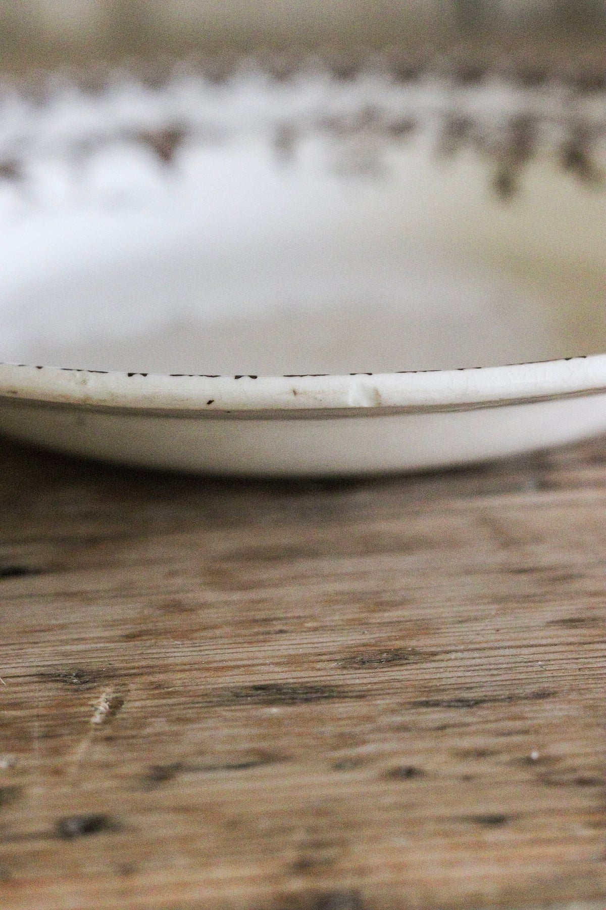 Antique French Transferware Shallow Bowl with Birds