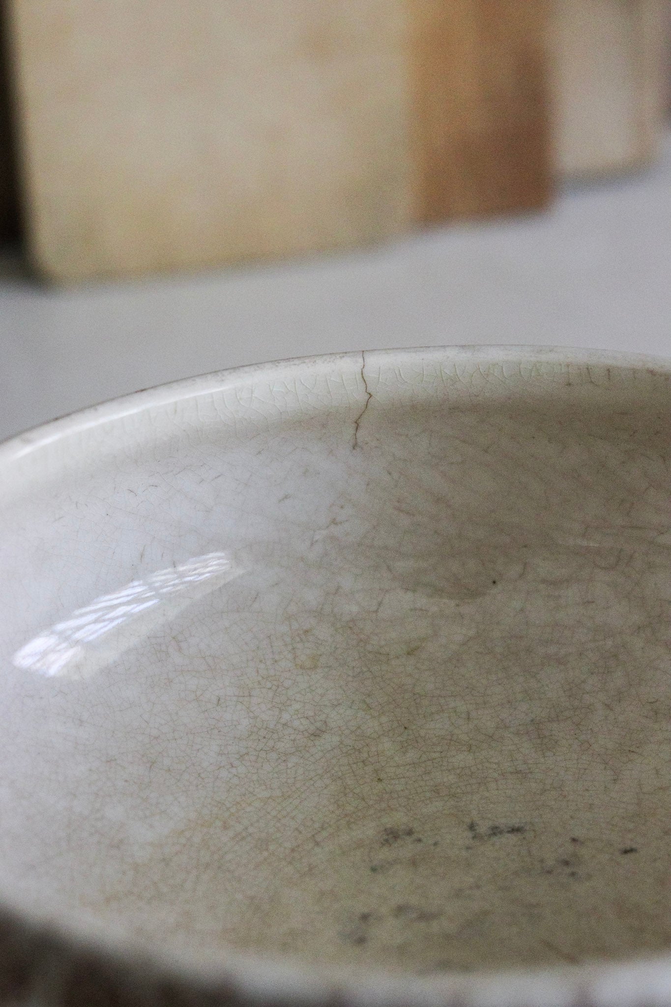 Antique French Transferware Tureen with Birds