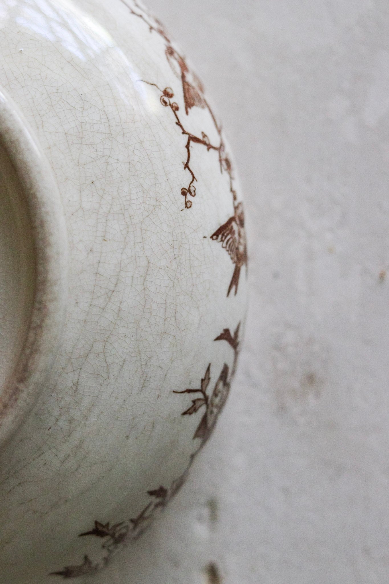 Antique French Transferware Tureen with Birds