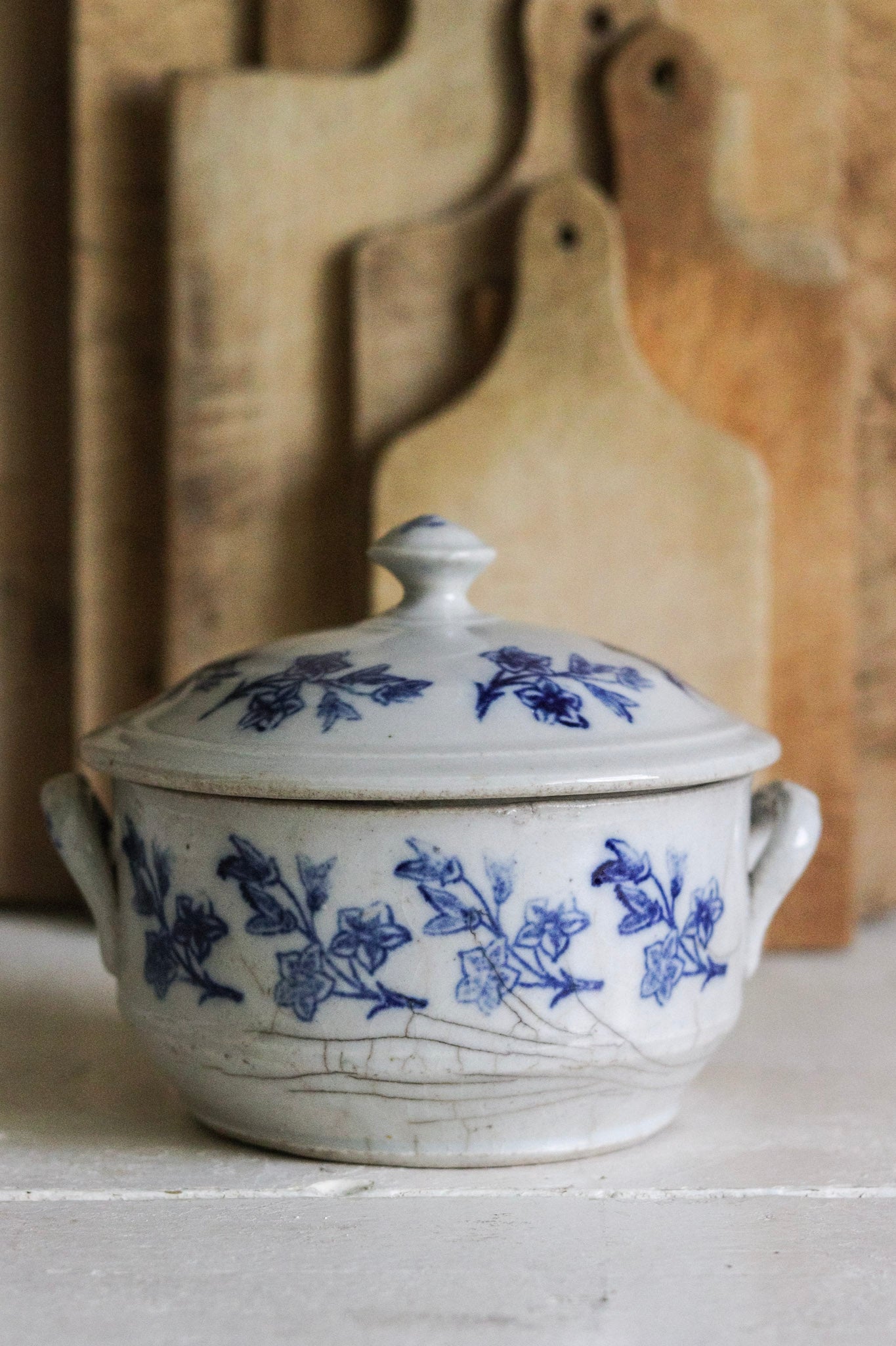 Petite Vintage French Saint Uze Tureen
