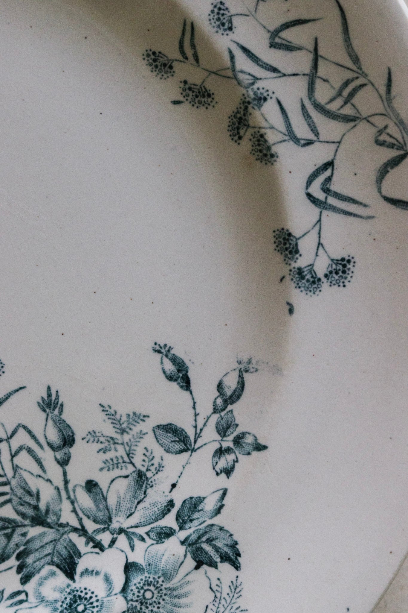 Antique French Transferware Plate with Birds