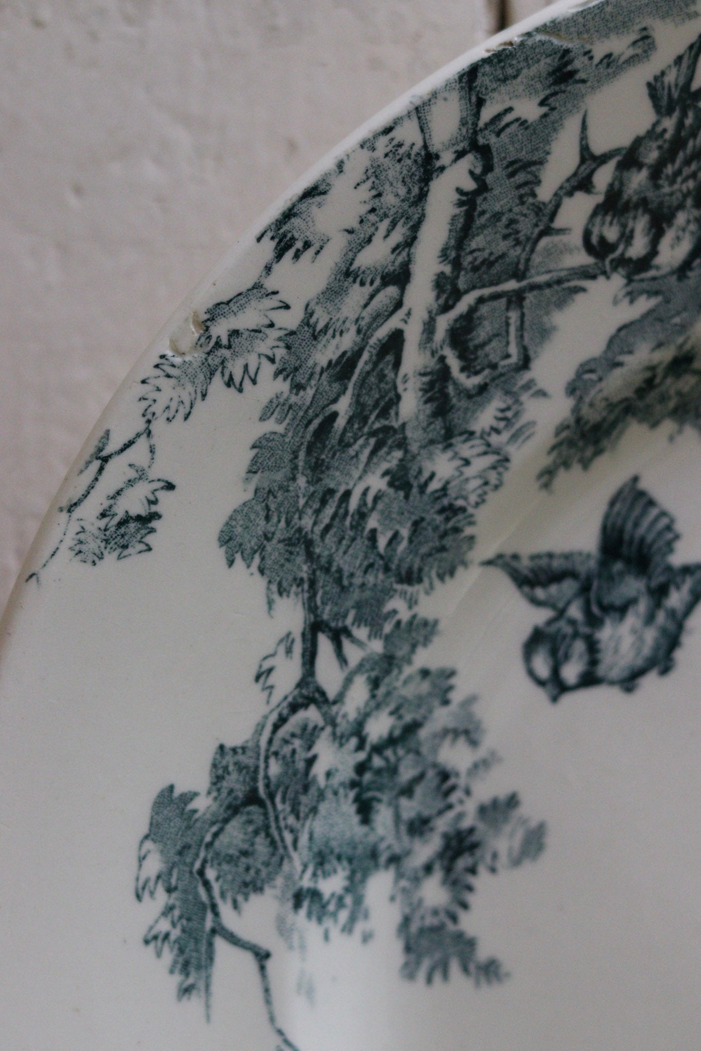 Antique French Transferware Plate with Birds