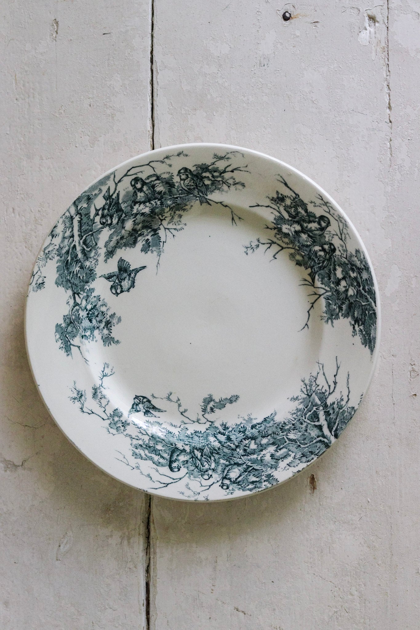 Antique French Transferware Plate with Birds