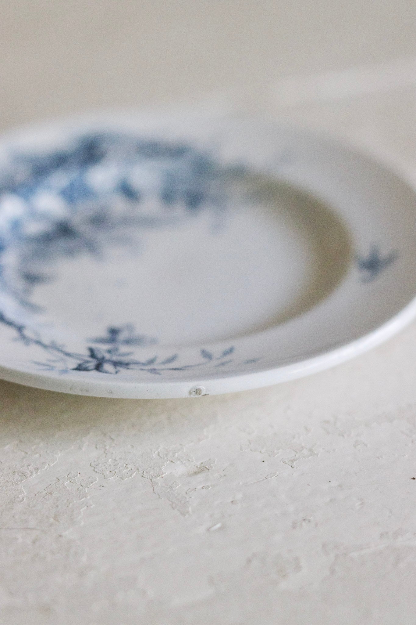 Set of Antique French Dînette Set Transferware Dinner Plates No. 1