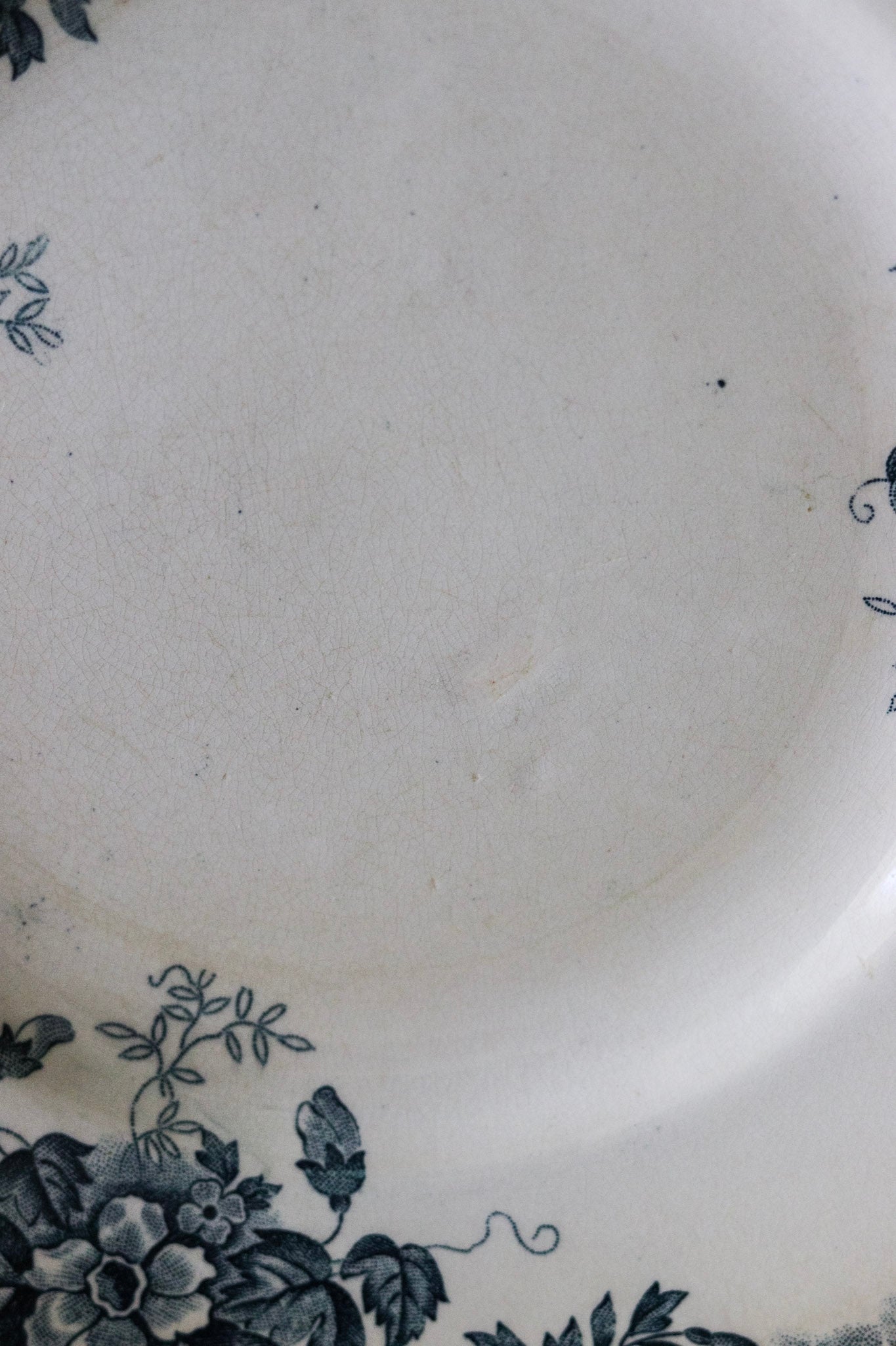 Antique French Transferware Plate - Marie Louise