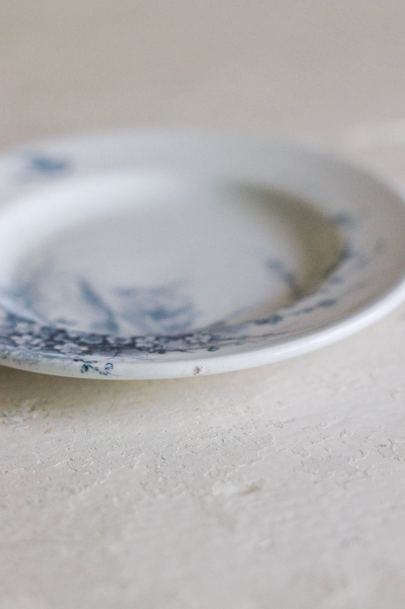 Set of Antique French Dînette Set Transferware Dinner Plates No. 1
