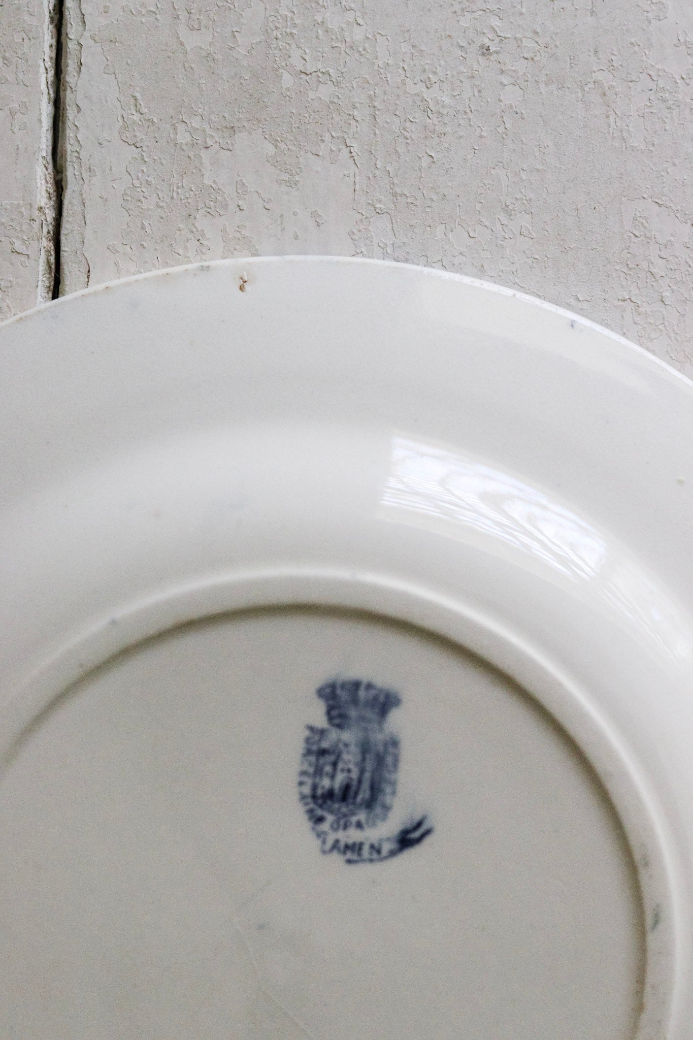 Antique French Transferware Plate with Butterfly and Flowers