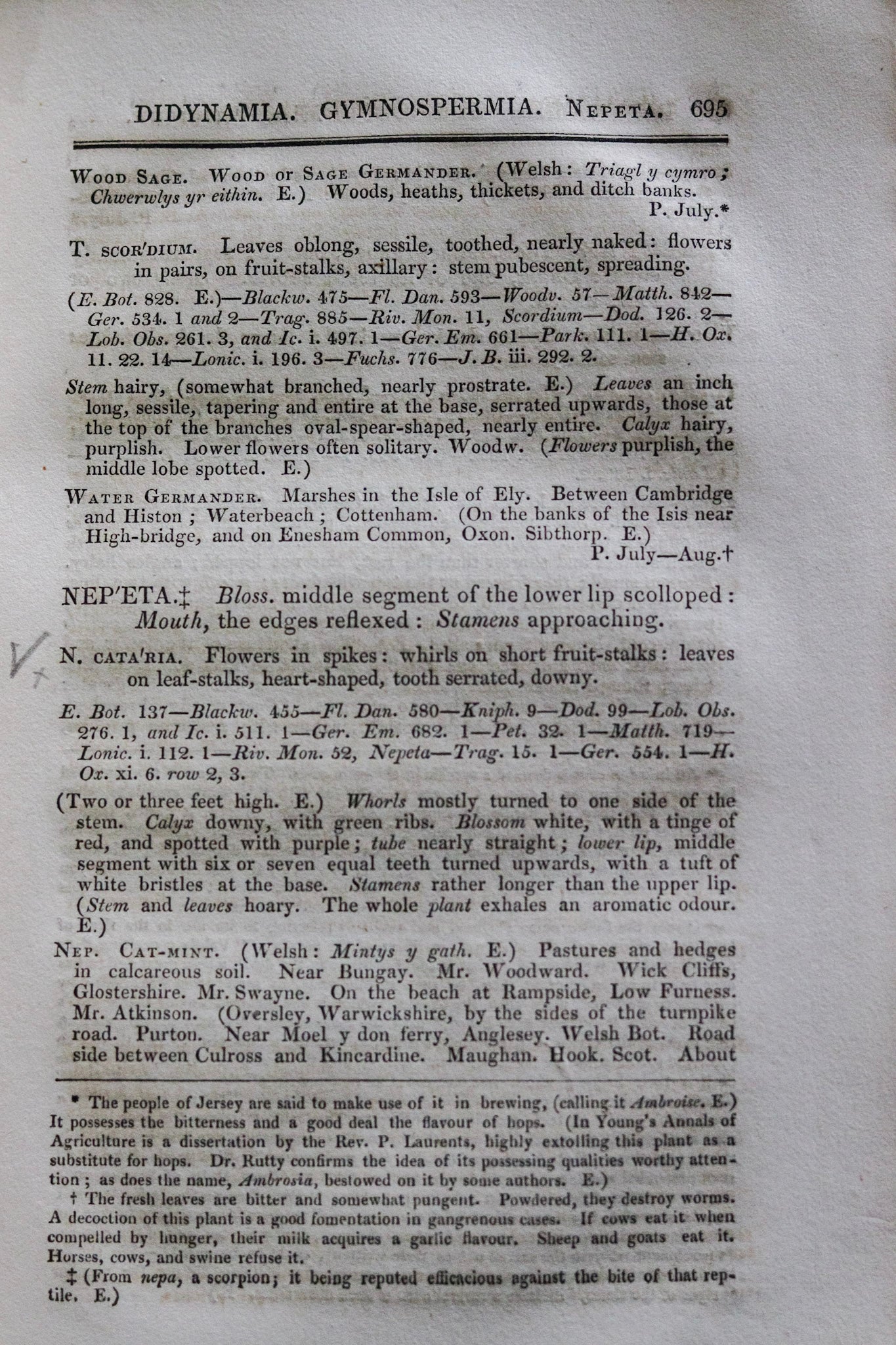 Antique British Botany Book - 1830