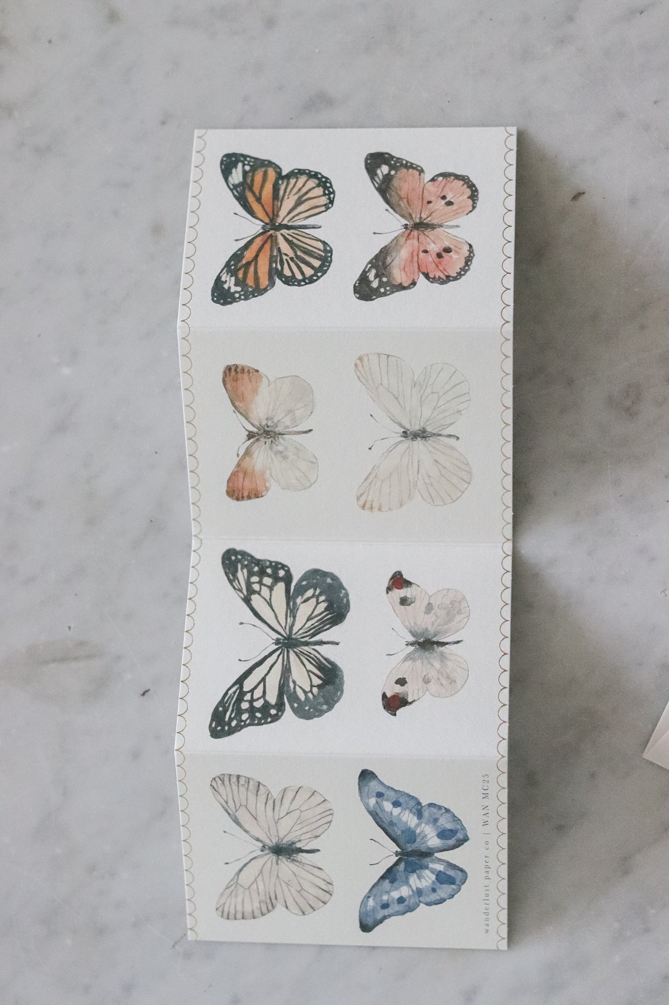 Butterfly Concertina Mini Card