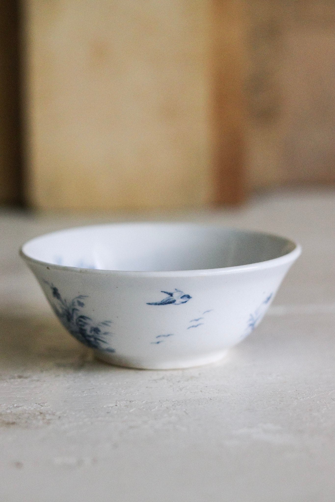Antique French Dînette Set Transferware Salad Bowl