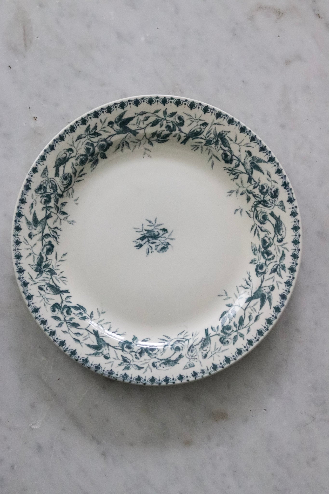 Antique French Transferware Plate with Birds and Roses