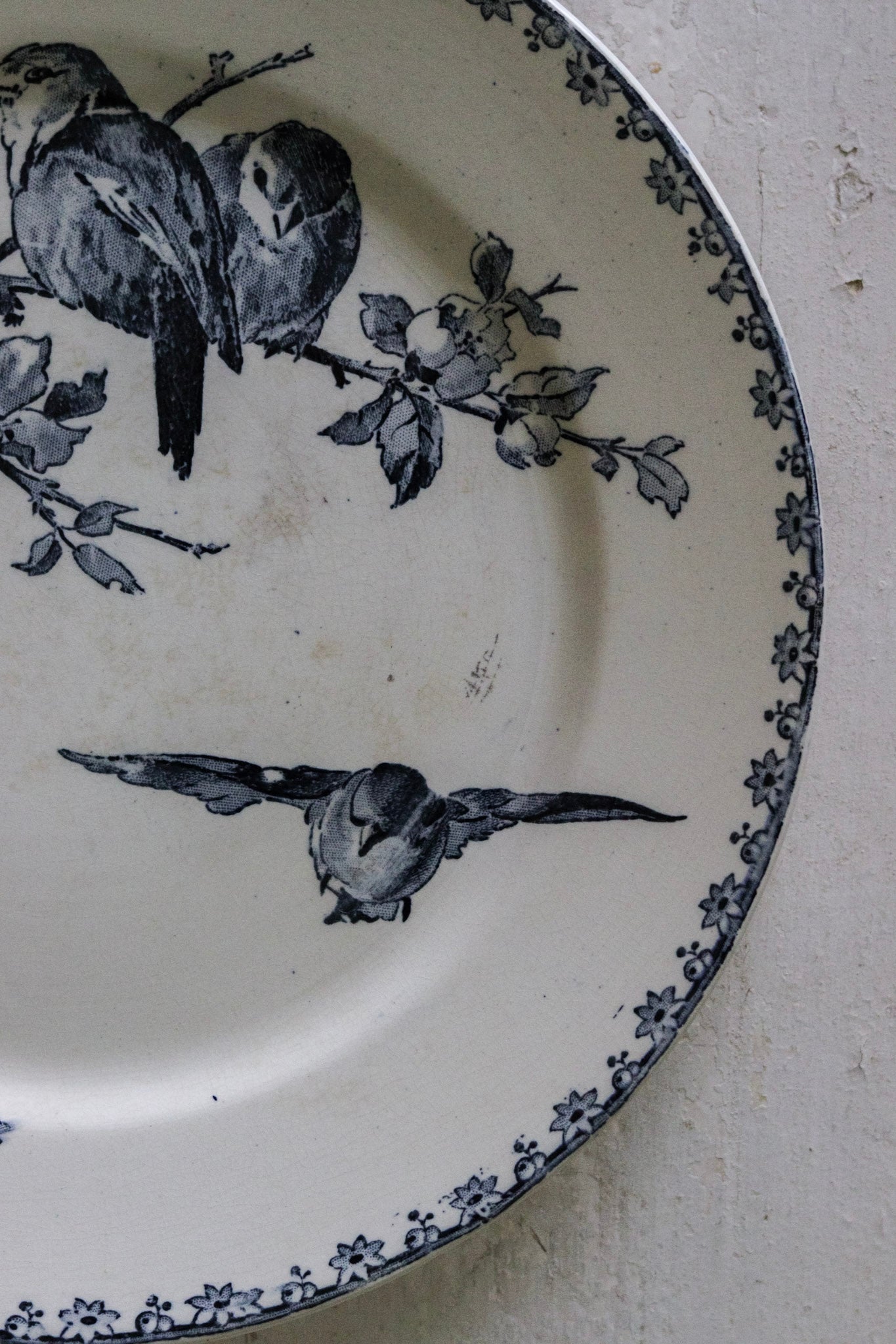 Antique French Transferware Plate with Birds