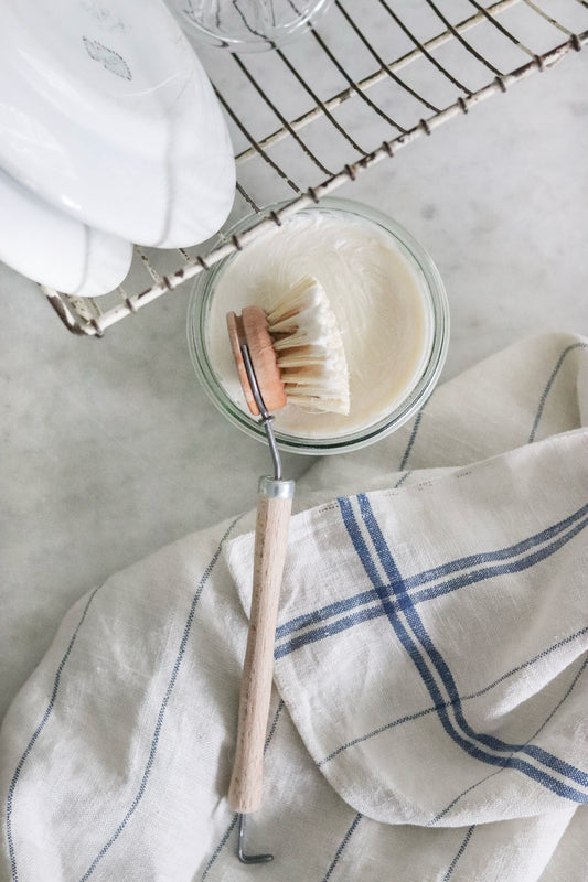 Everyday Dish Brush