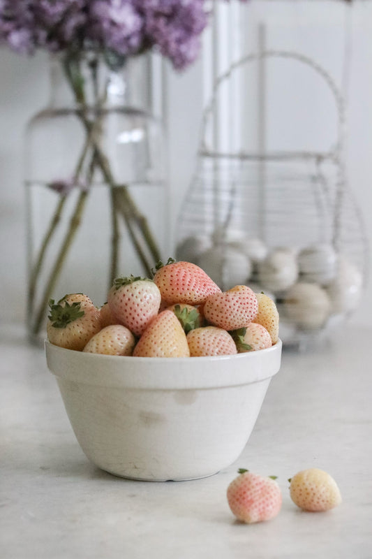 Stained Vintage English Pudding Bowl