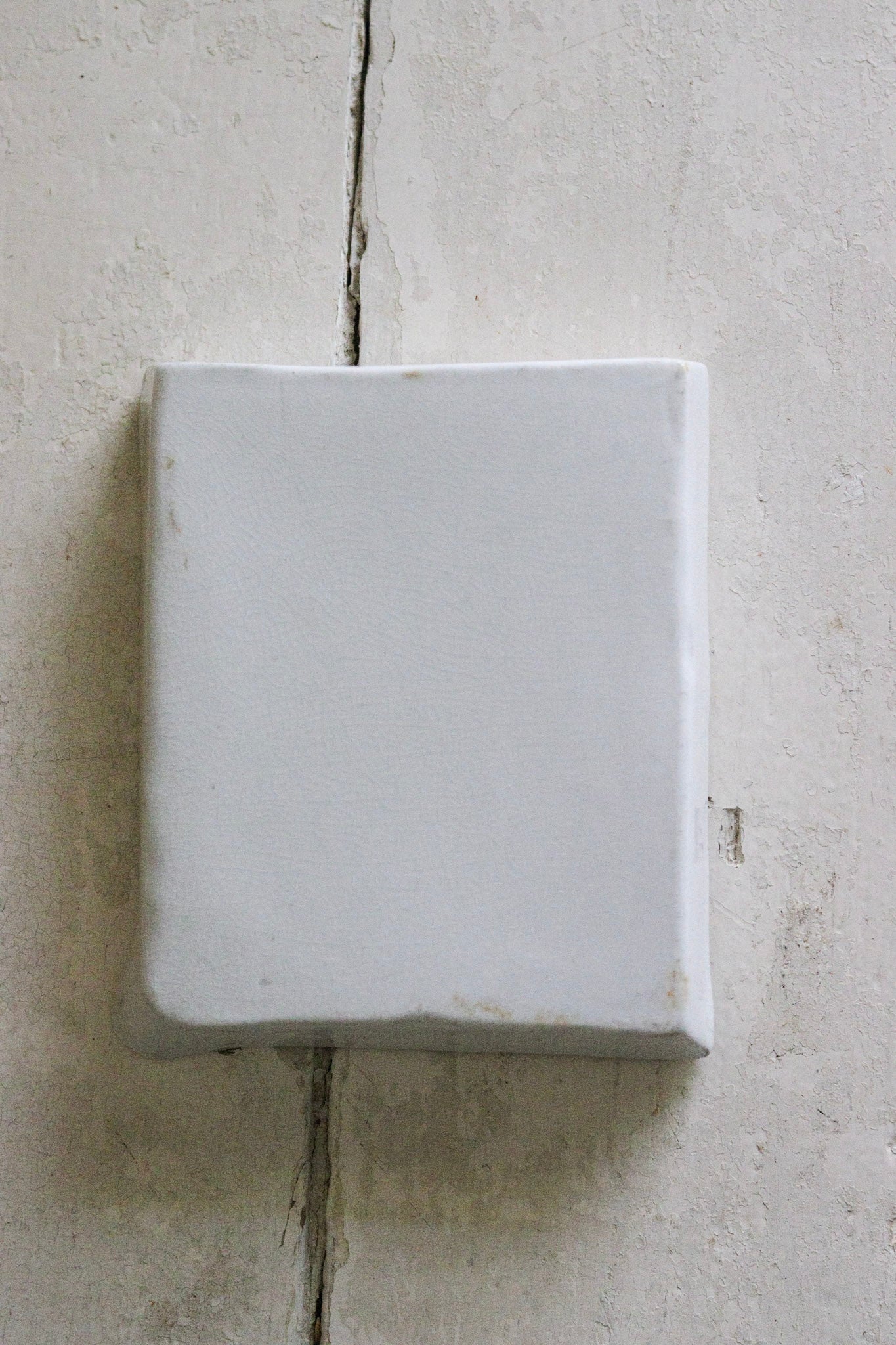 Petite Vintage Developing Tray