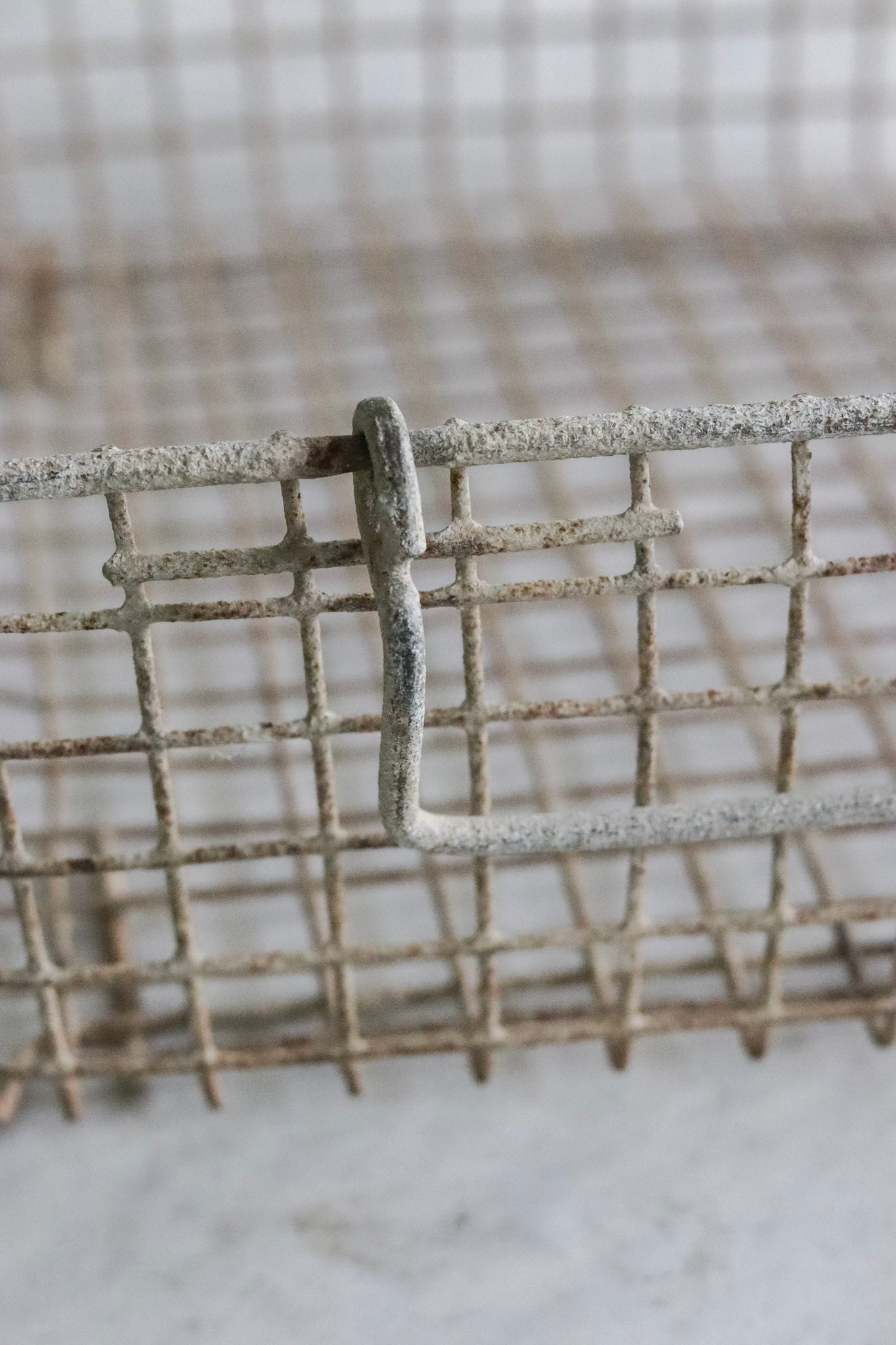 Vintage French Oyster Basket