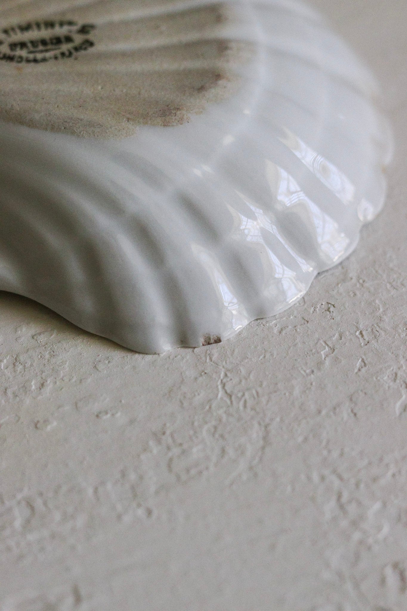 Vintage French Shell Dish No.1