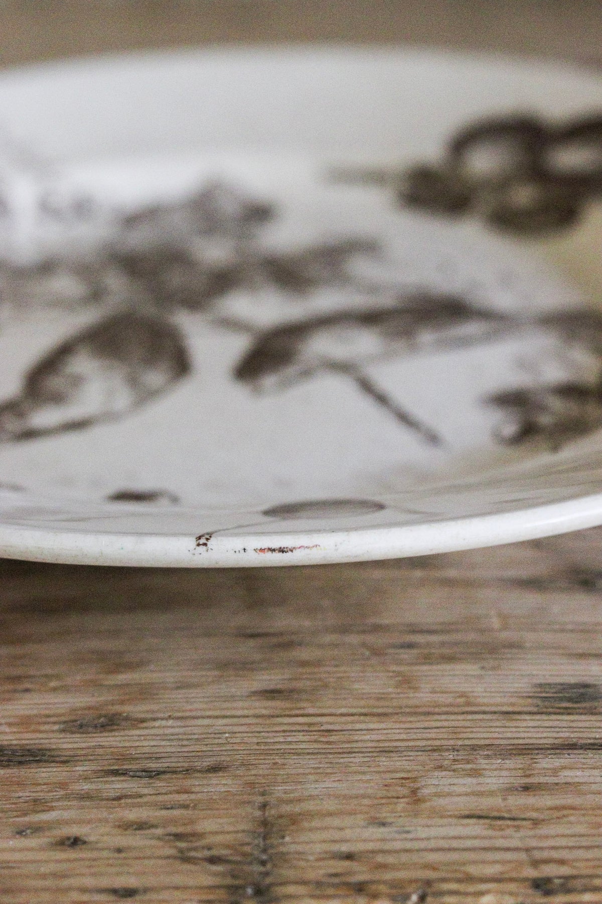 Stunning Large Antique French Transferware Plate with Birds