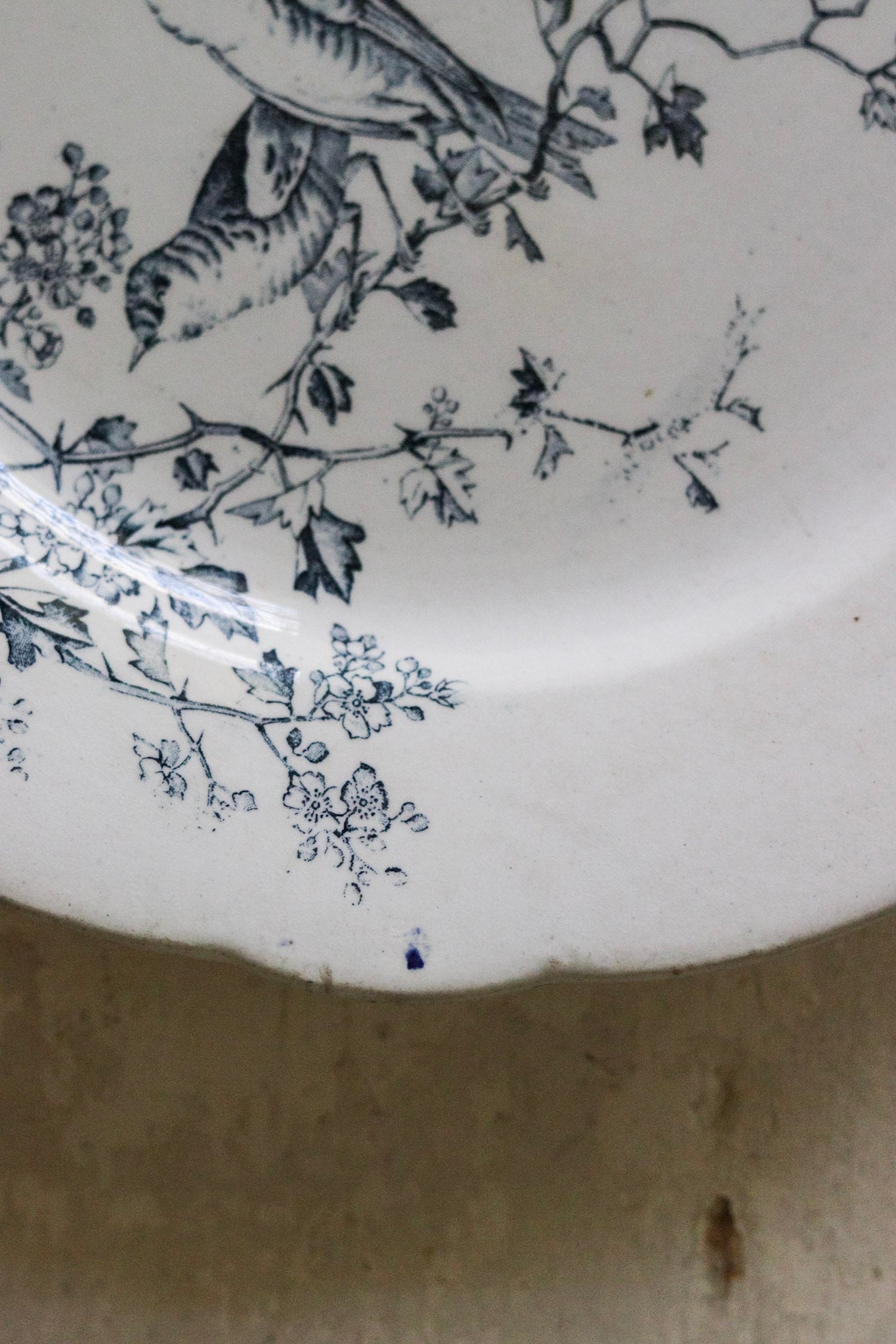 Antique French Transferware Plate with Birds