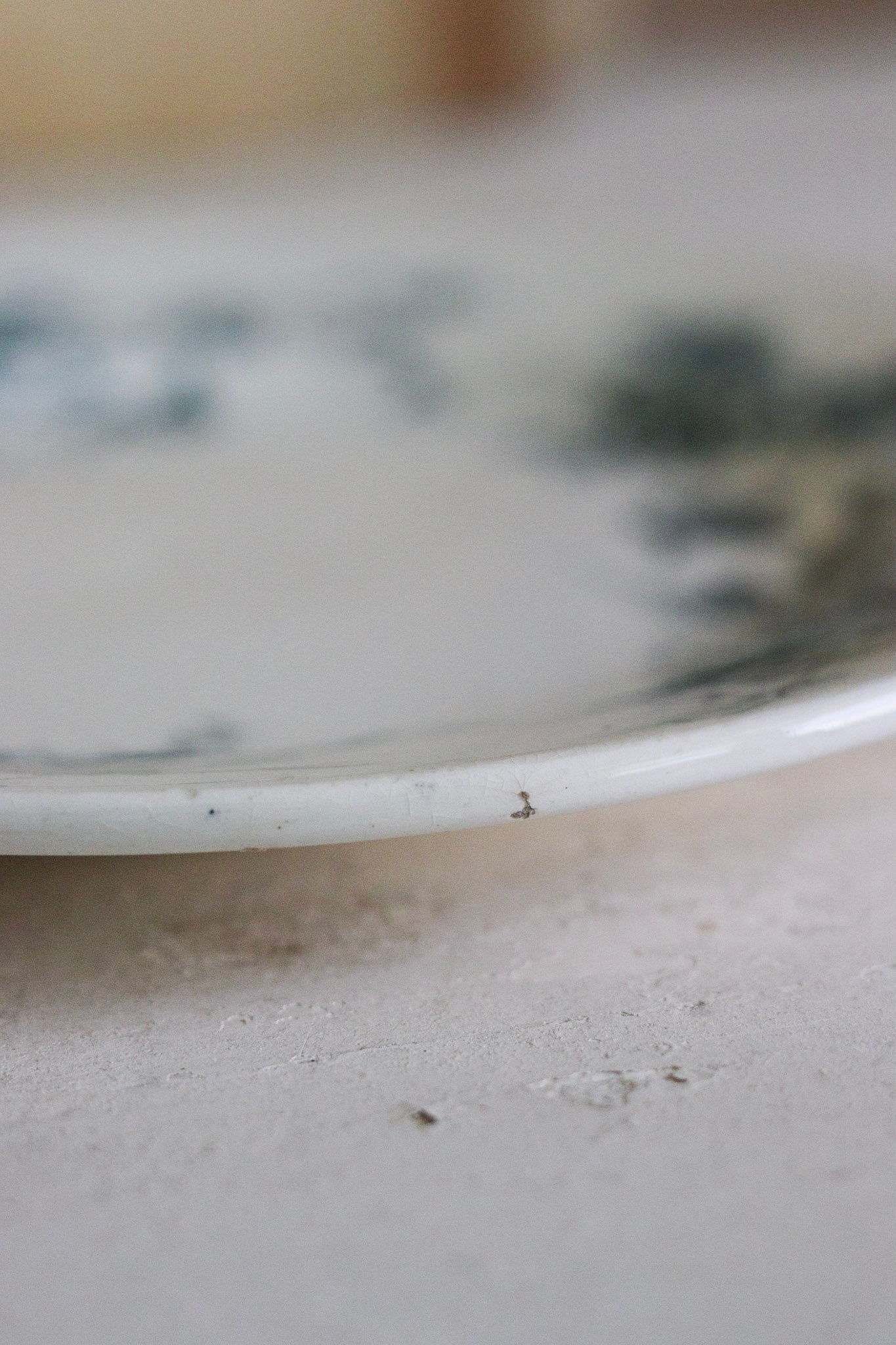 Antique French Transferware Plate with Birds