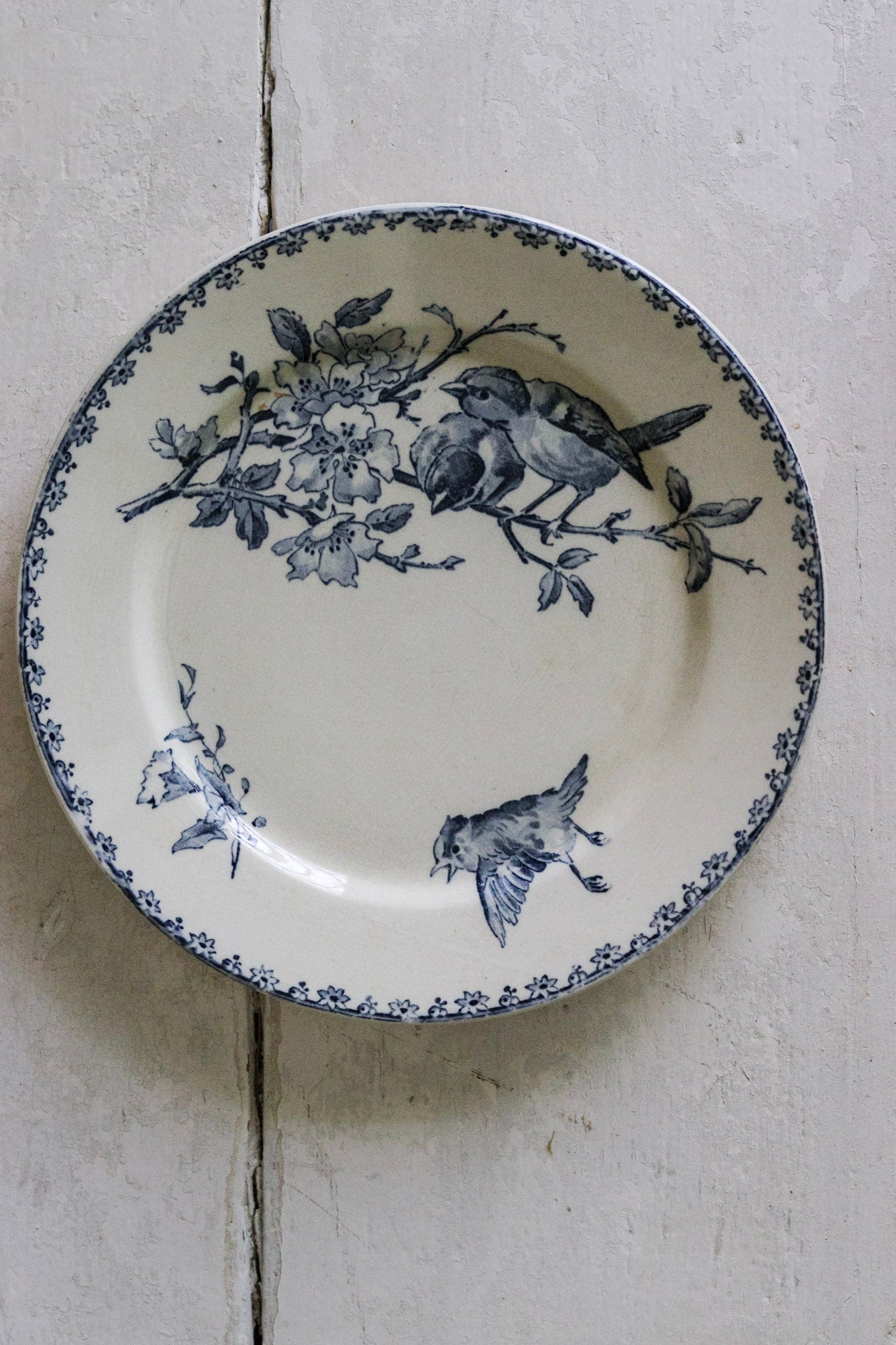 Antique French Transferware Plate with Birds
