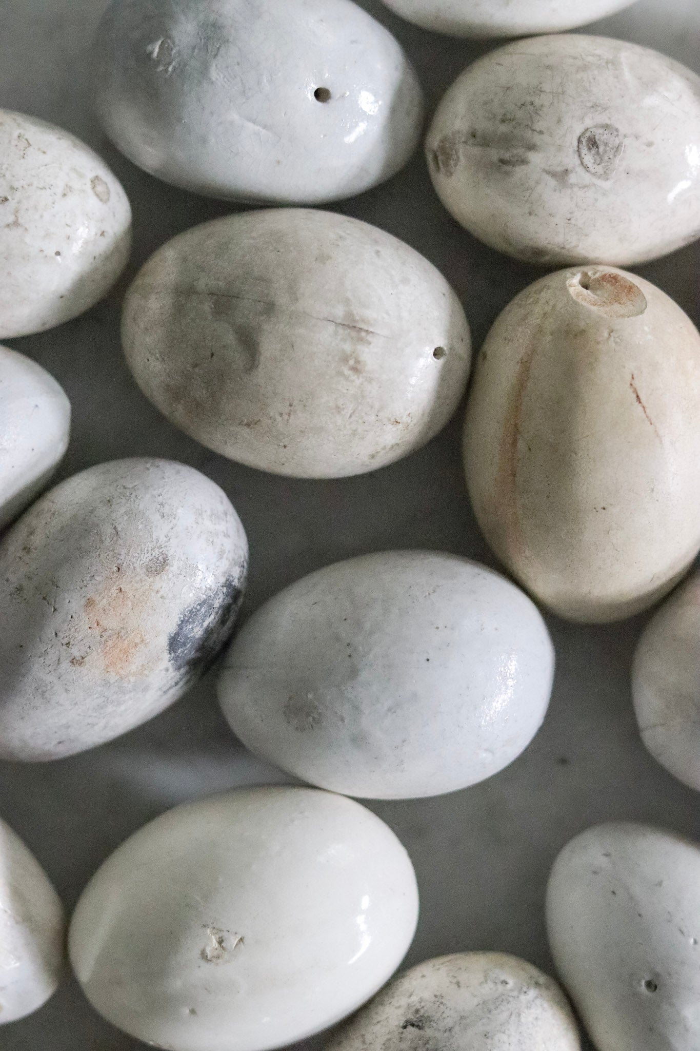 English Broody Hen Egg