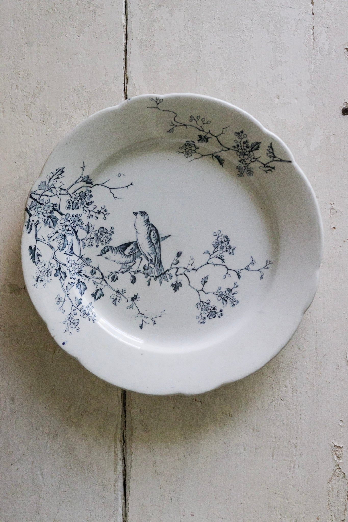 Antique French Transferware Plate with Birds
