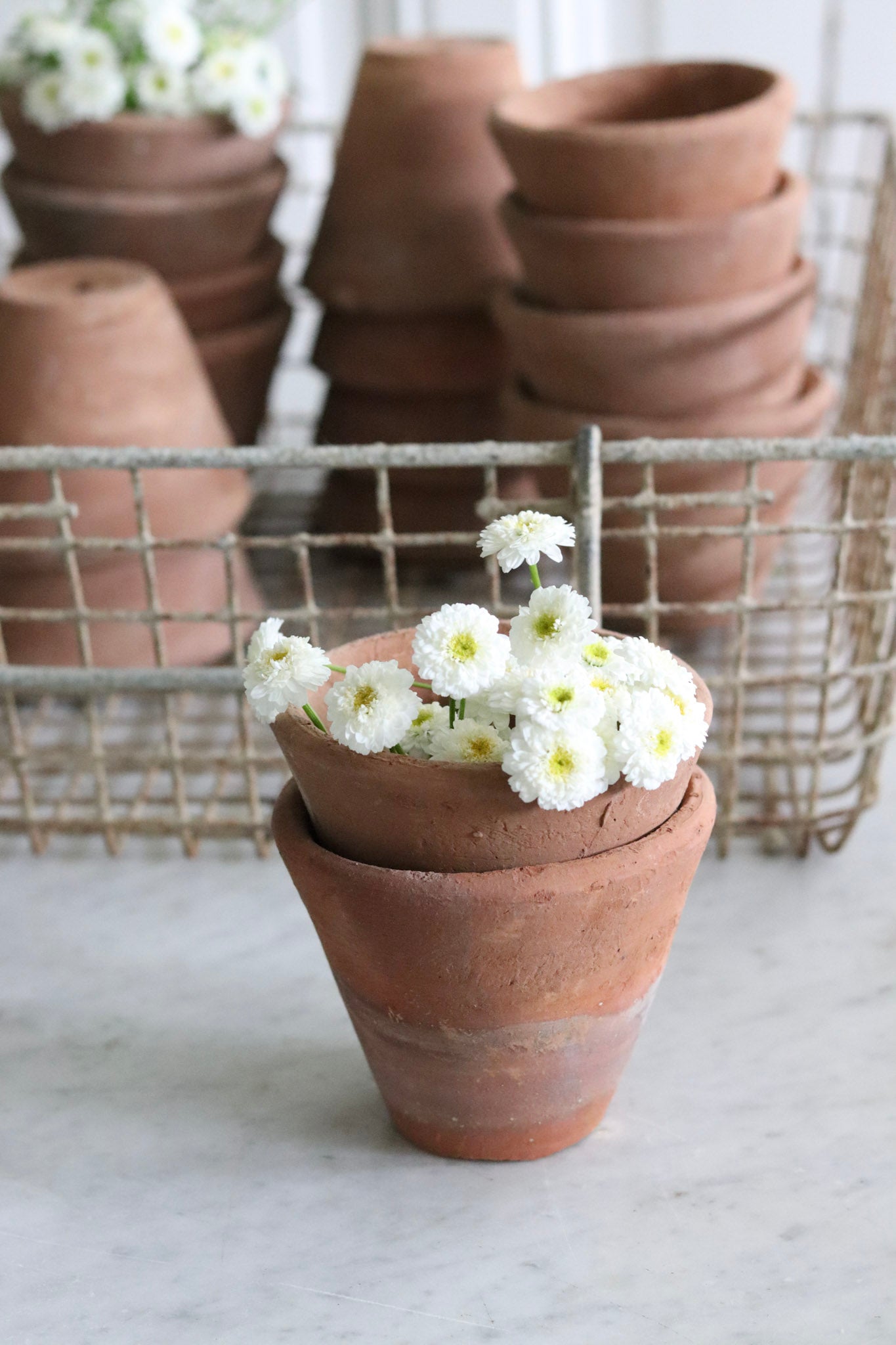 New Old Stock French Pots - Set of Two