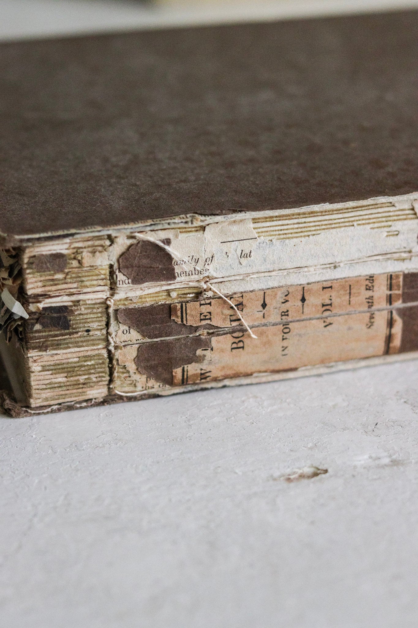 Antique British Botany Book - 1830