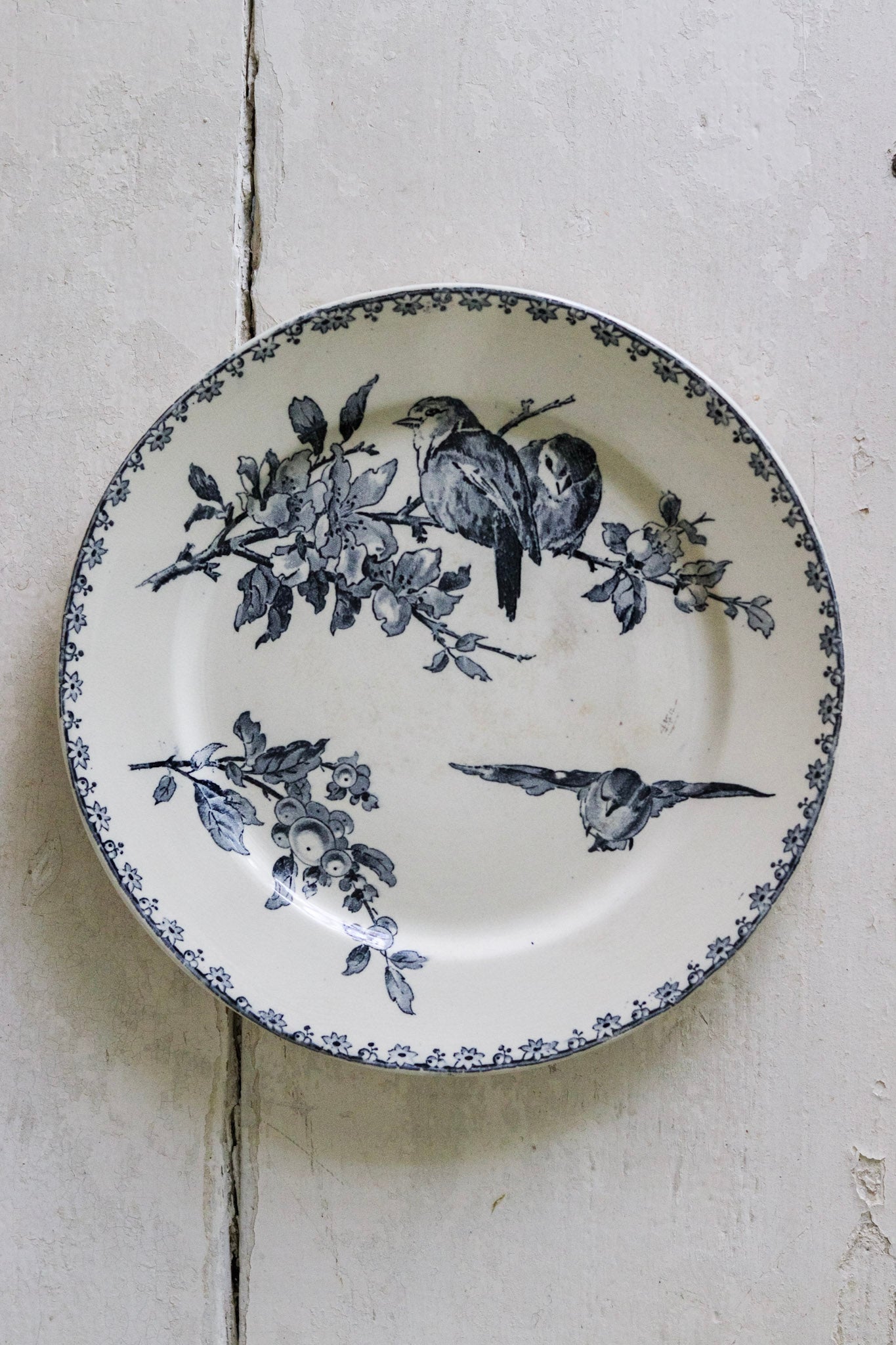 Antique French Transferware Plate with Birds