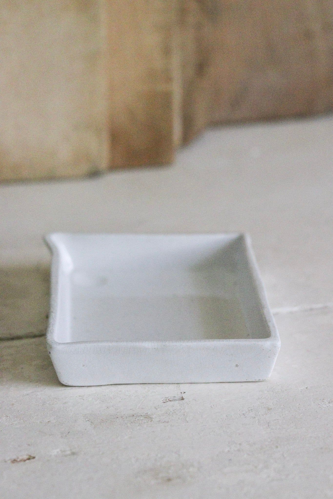 Petite Vintage Developing Tray