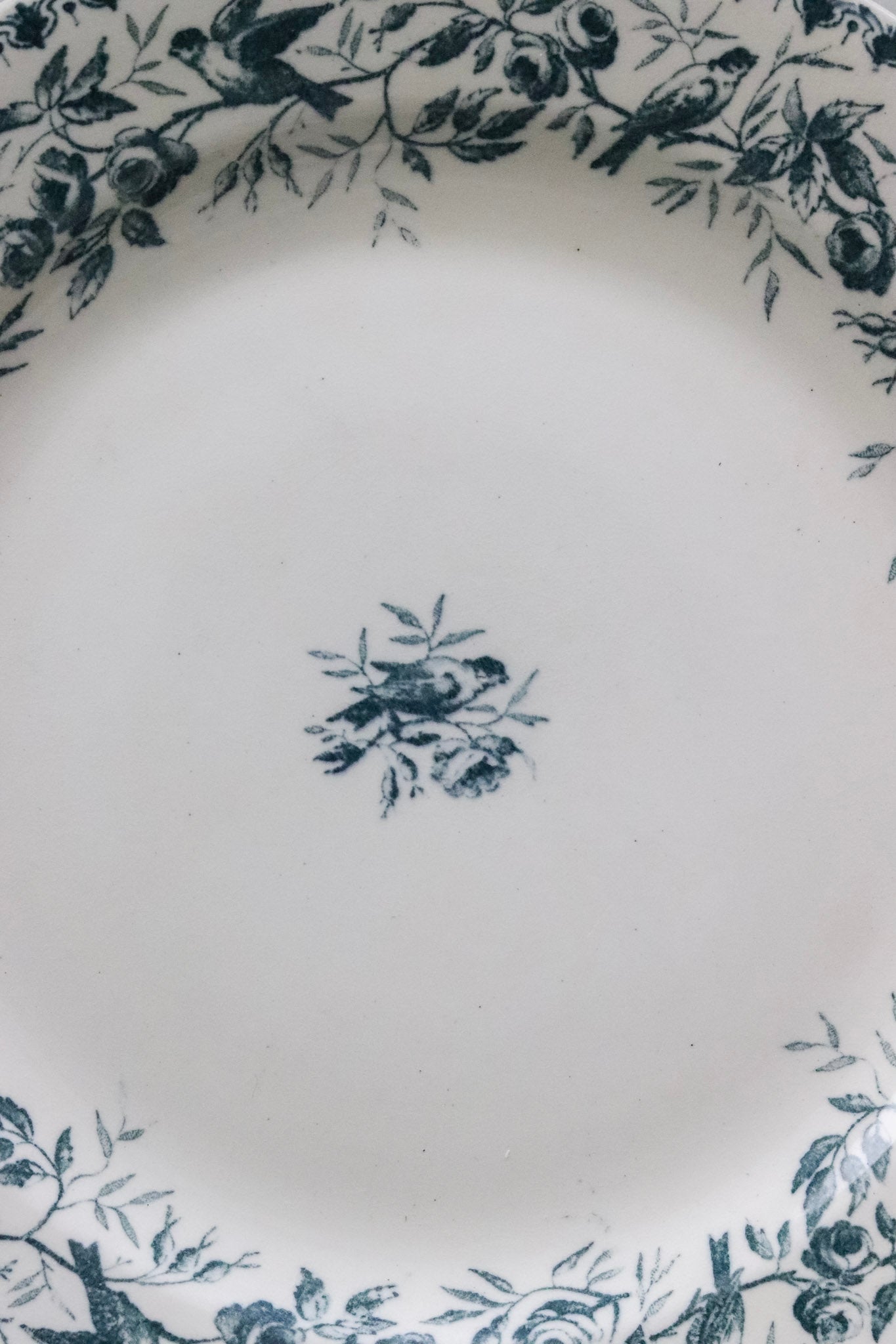 Antique French Transferware Plate with Birds and Roses