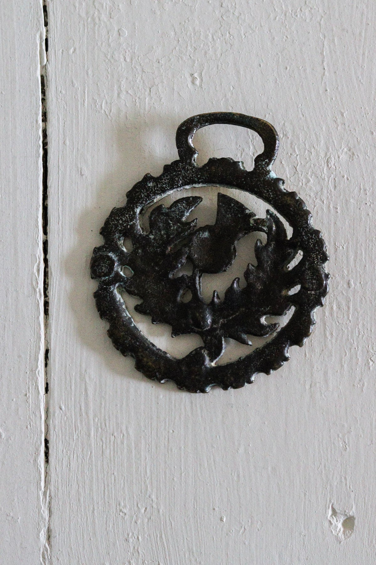 English Horse Brass - Thistle