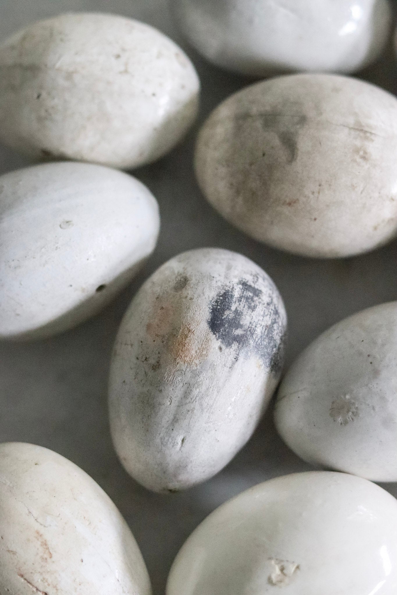 English Broody Hen Egg
