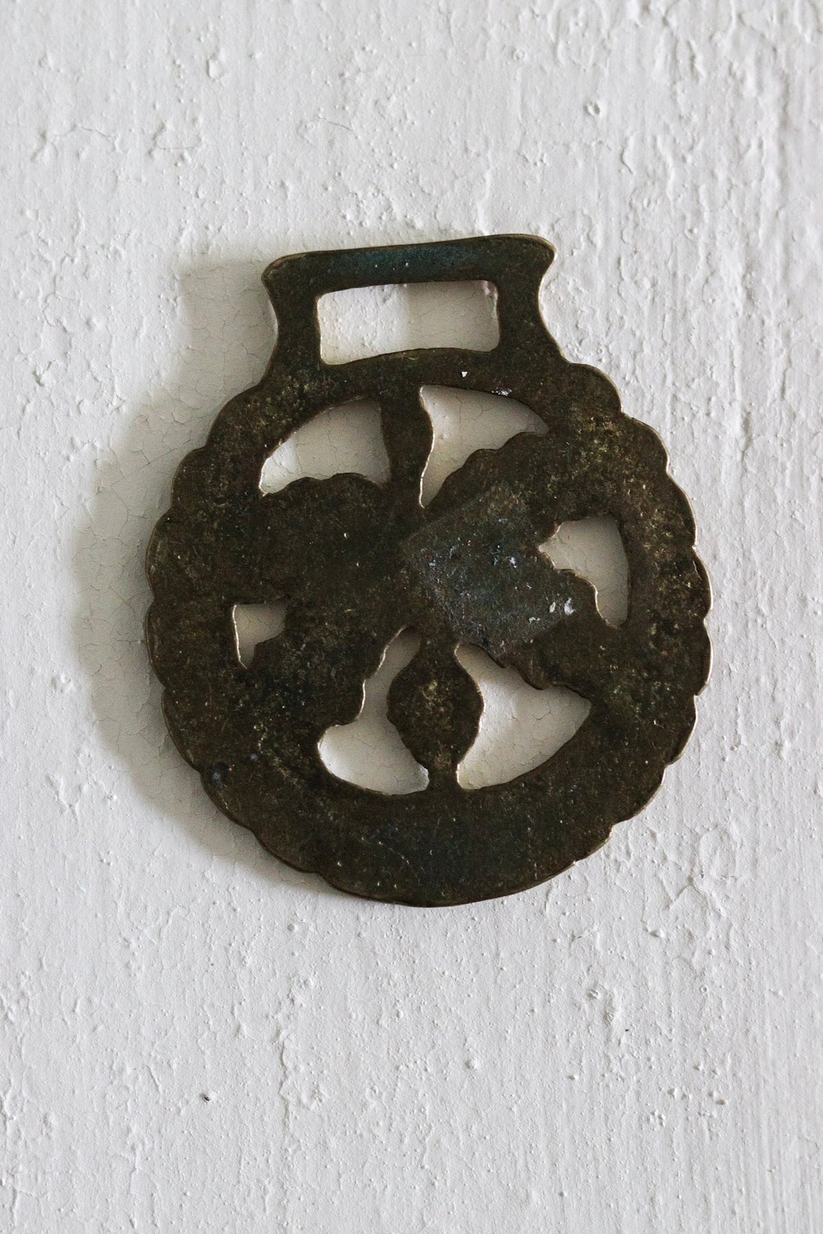 English Horse Brass - Oak Leaves + Acorn