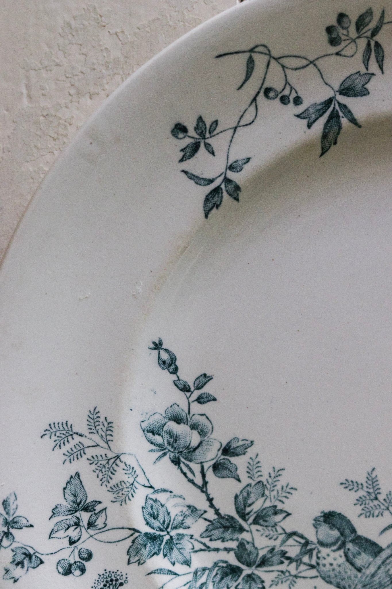 Antique French Transferware Plate with Birds