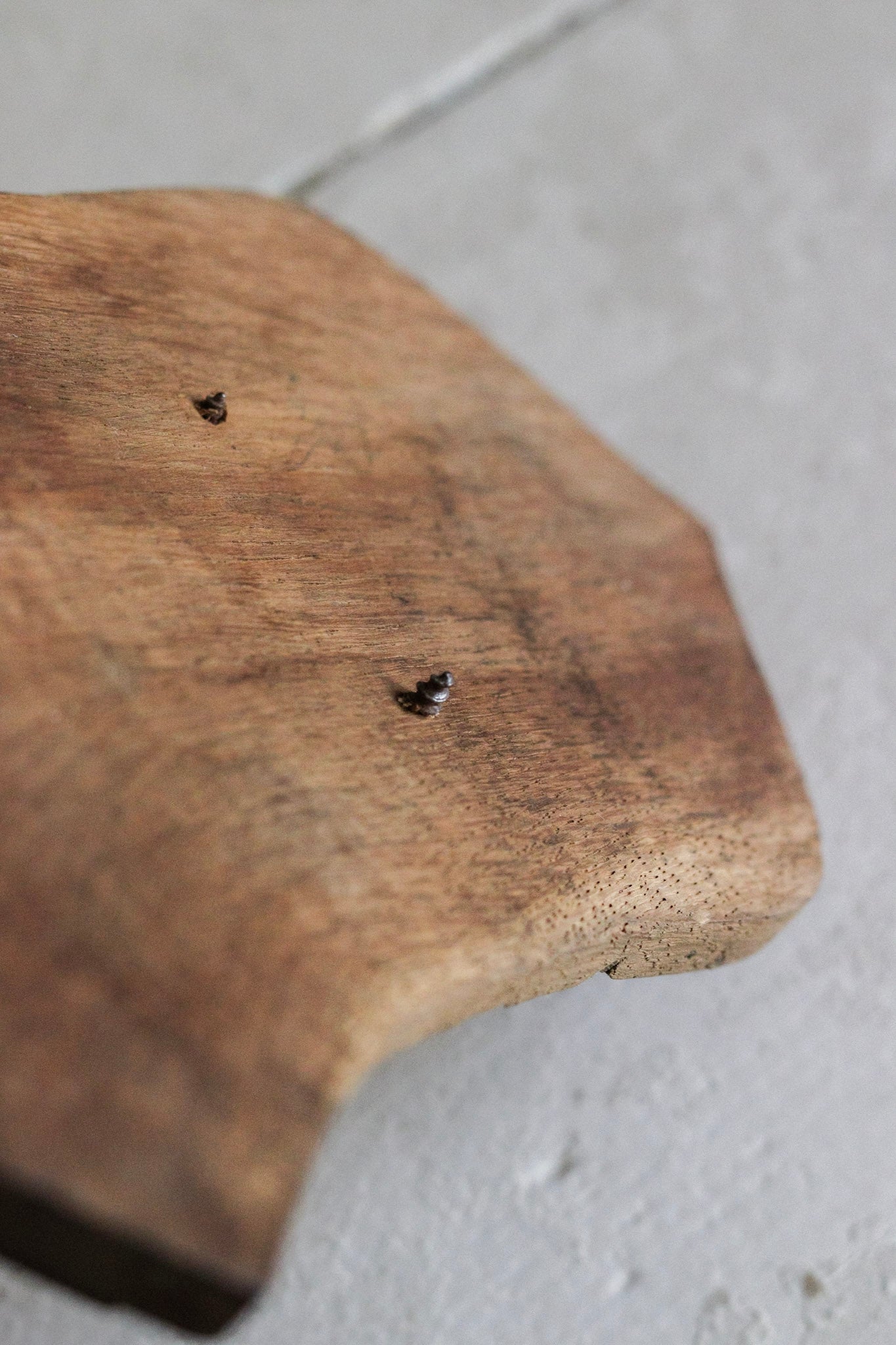 Petite Vintage European Antler Mount No.2