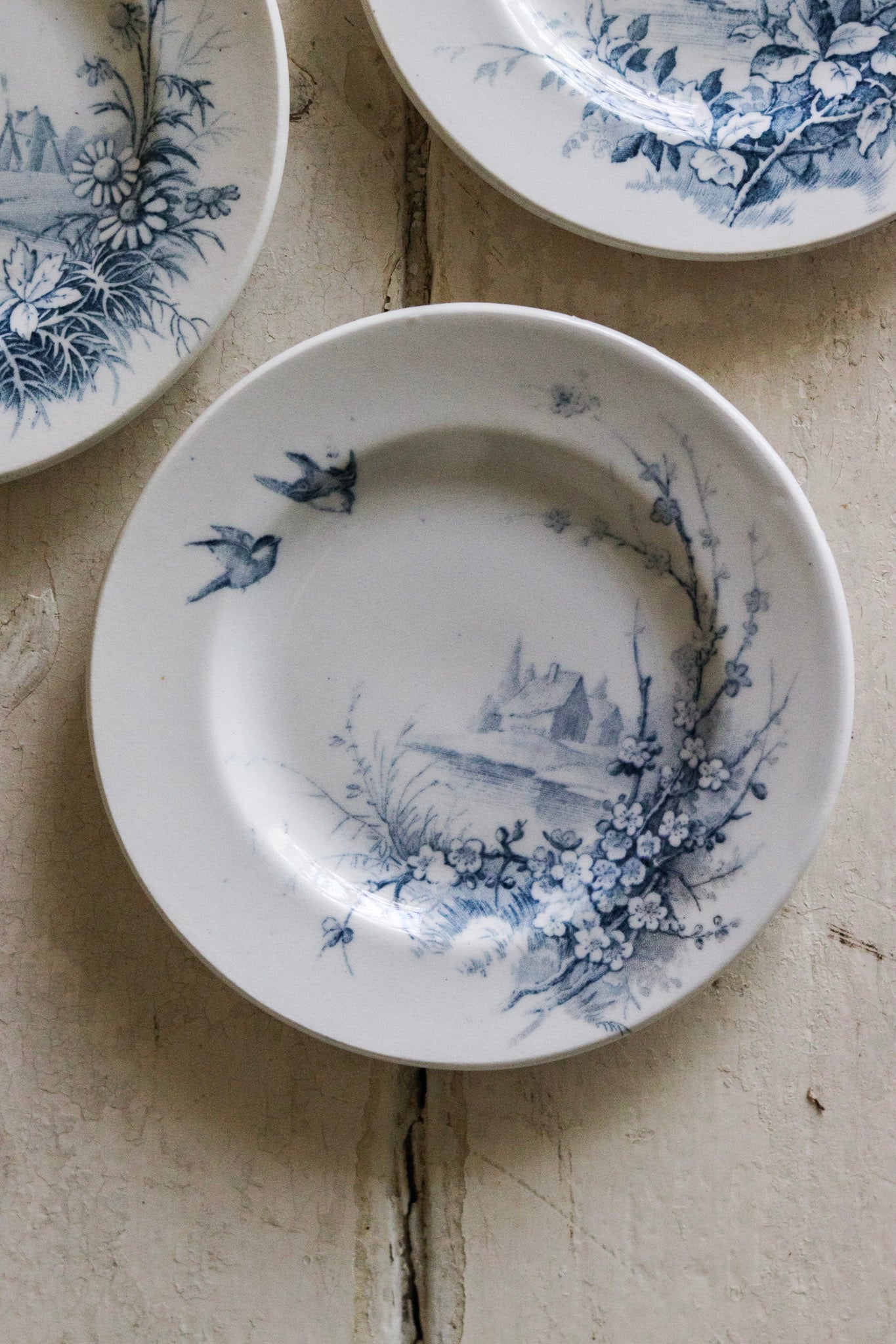 Set of Antique French Dînette Set Transferware Dinner Plates No. 1