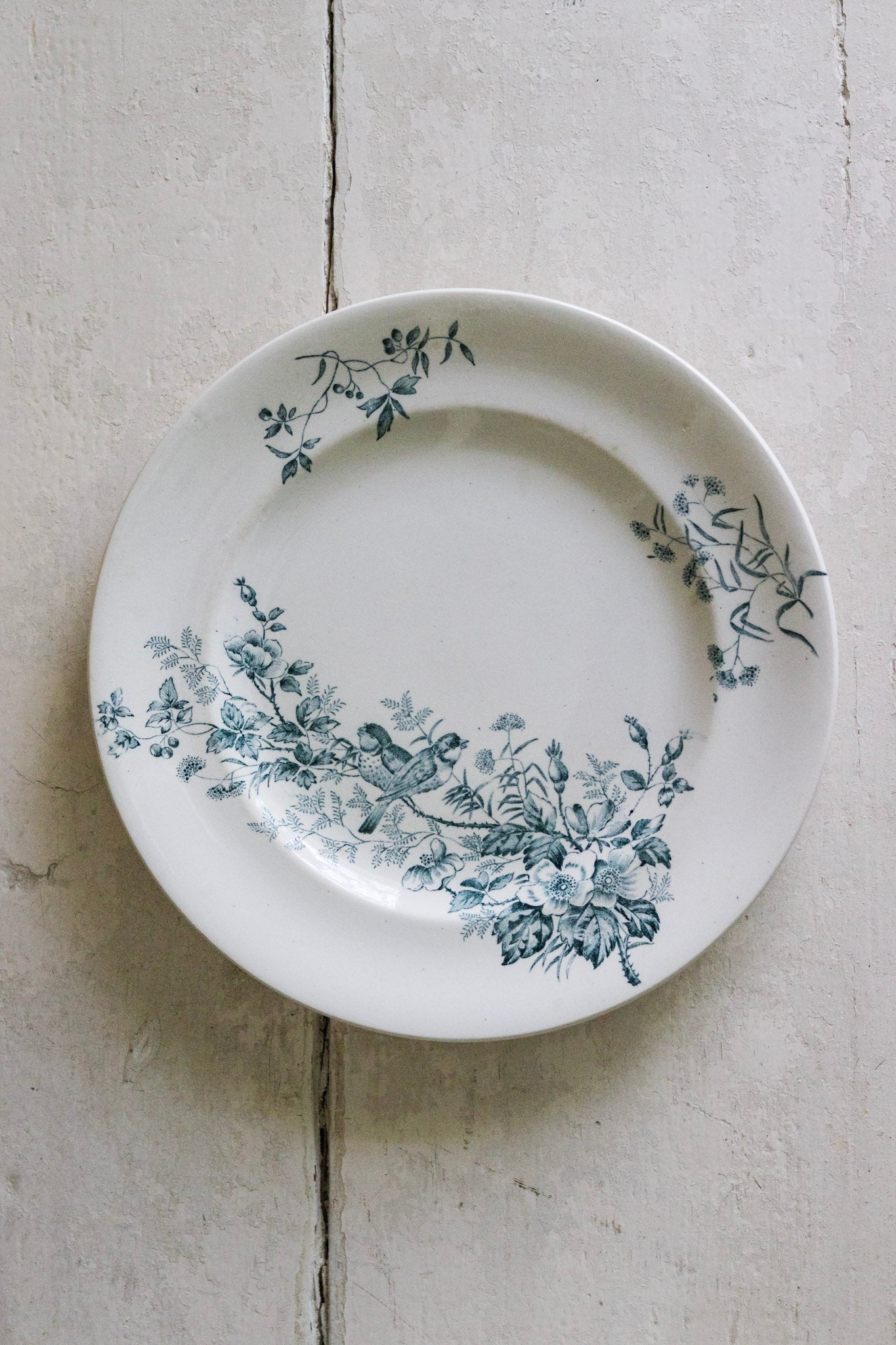 Antique French Transferware Plate with Birds