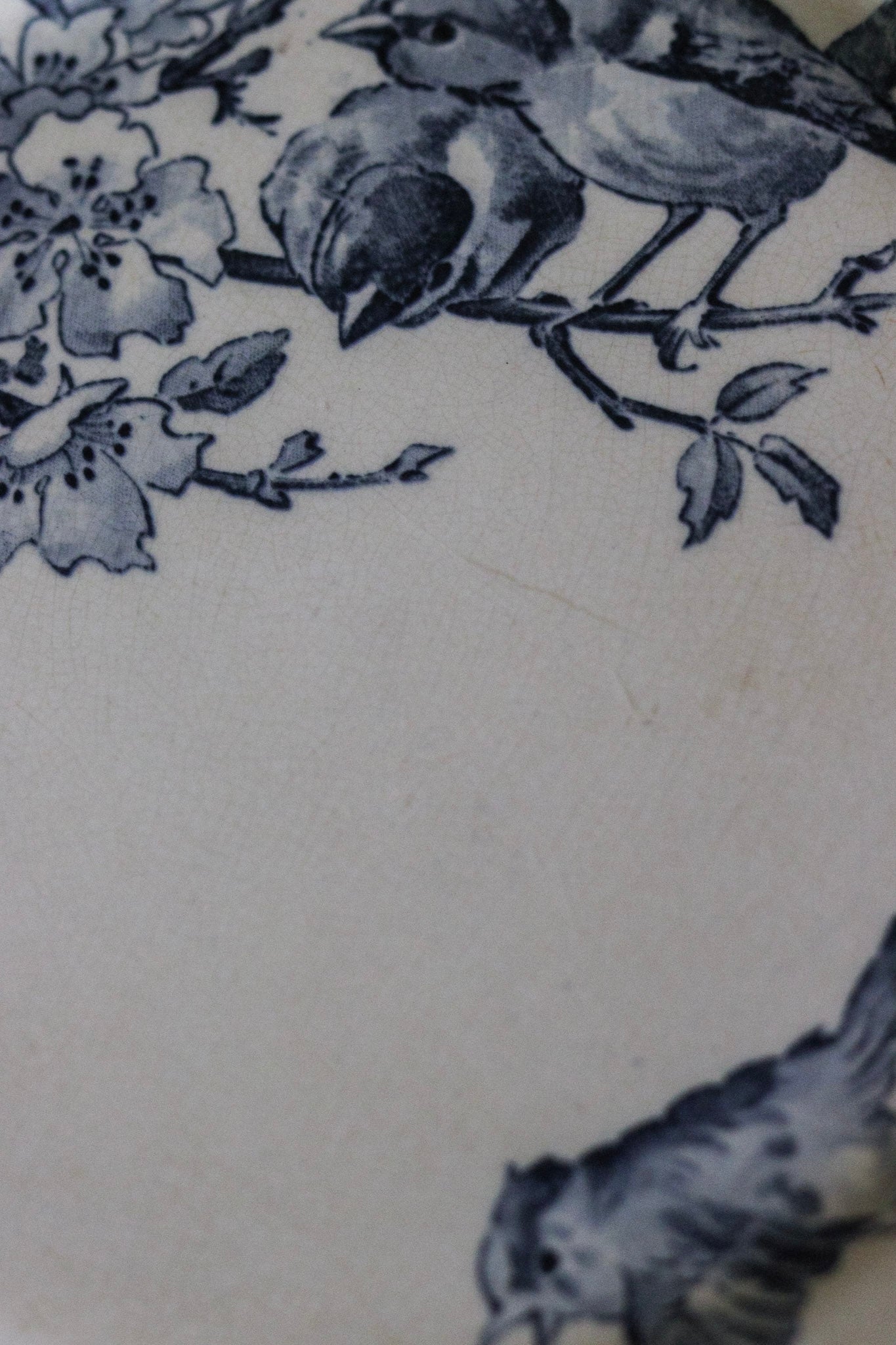 Antique French Transferware Plate with Birds