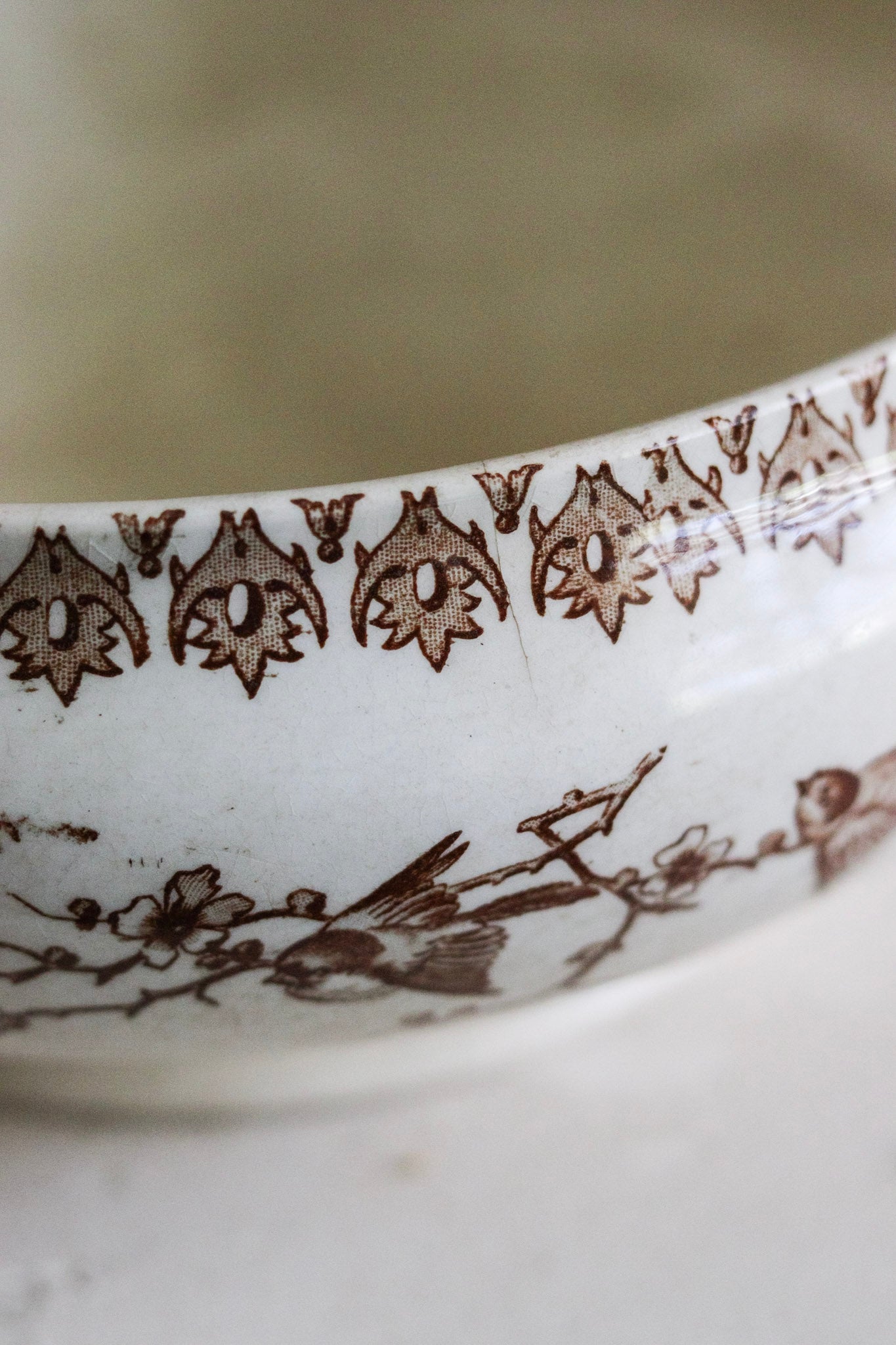 Antique French Transferware Tureen with Birds