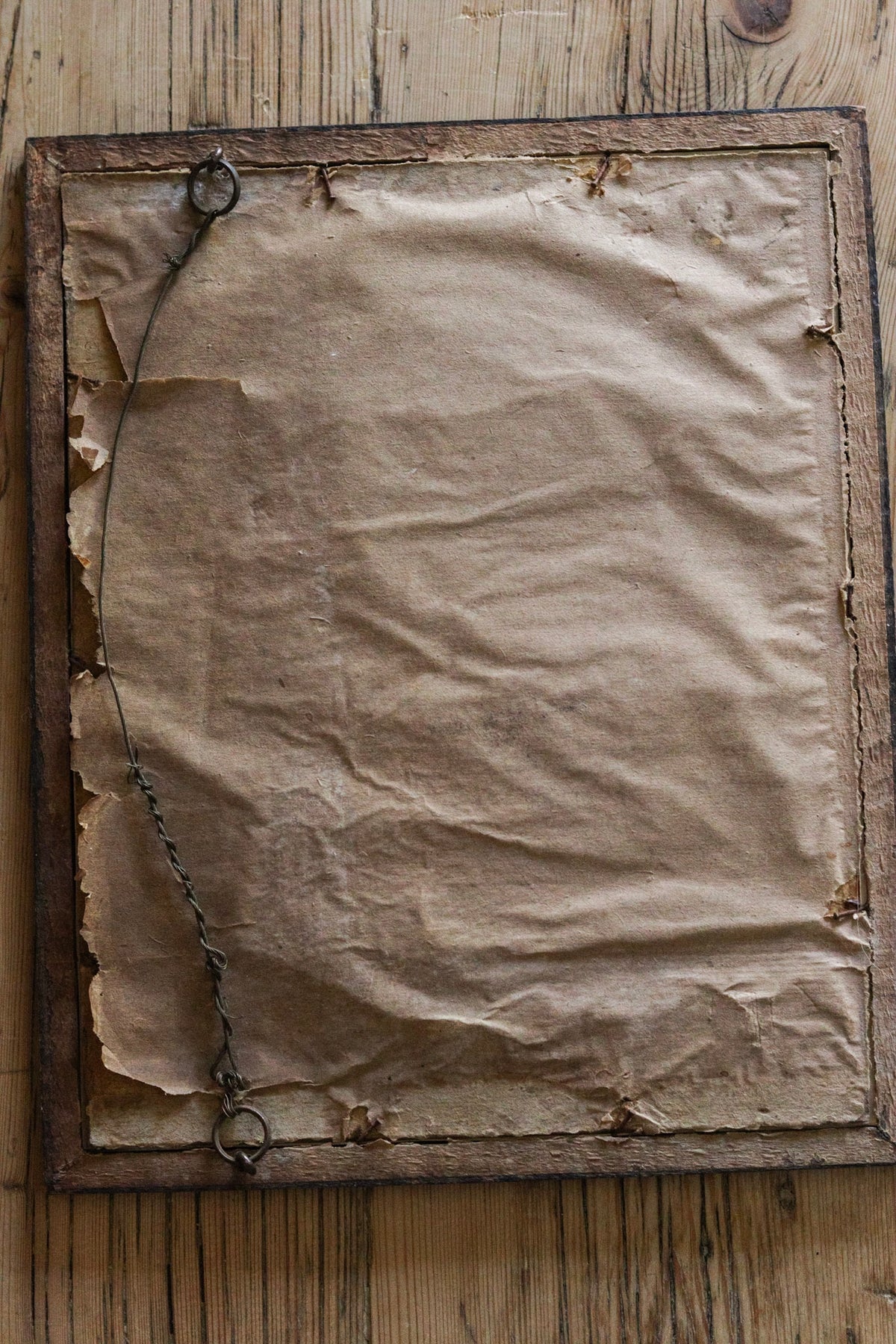 Vintage Framed Herbarium - Dated 1951