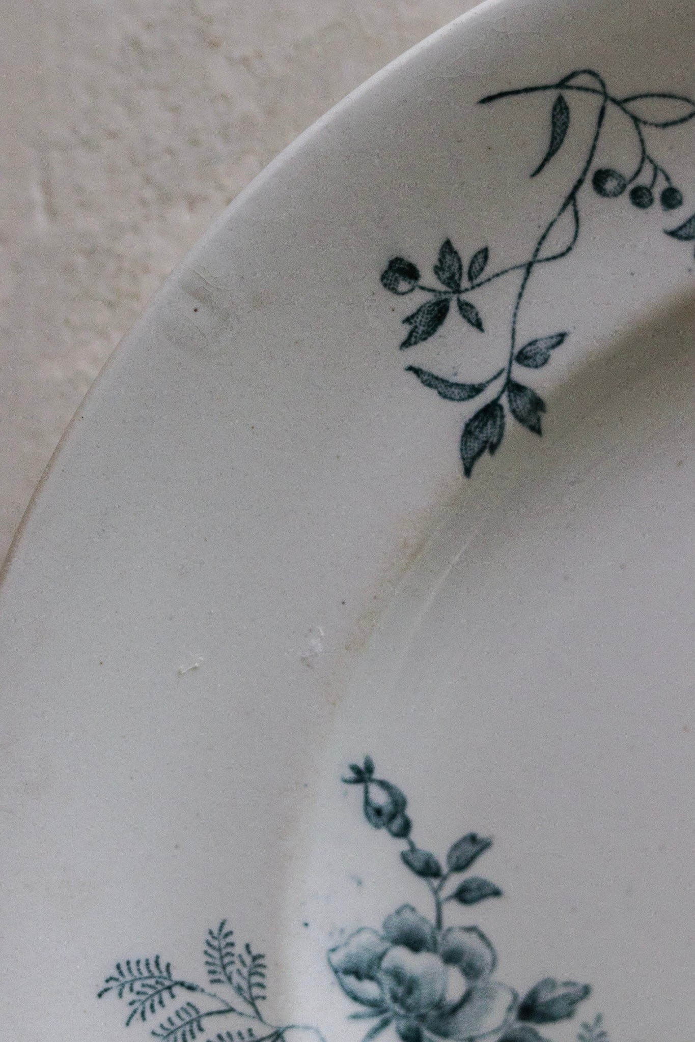 Antique French Transferware Plate with Birds