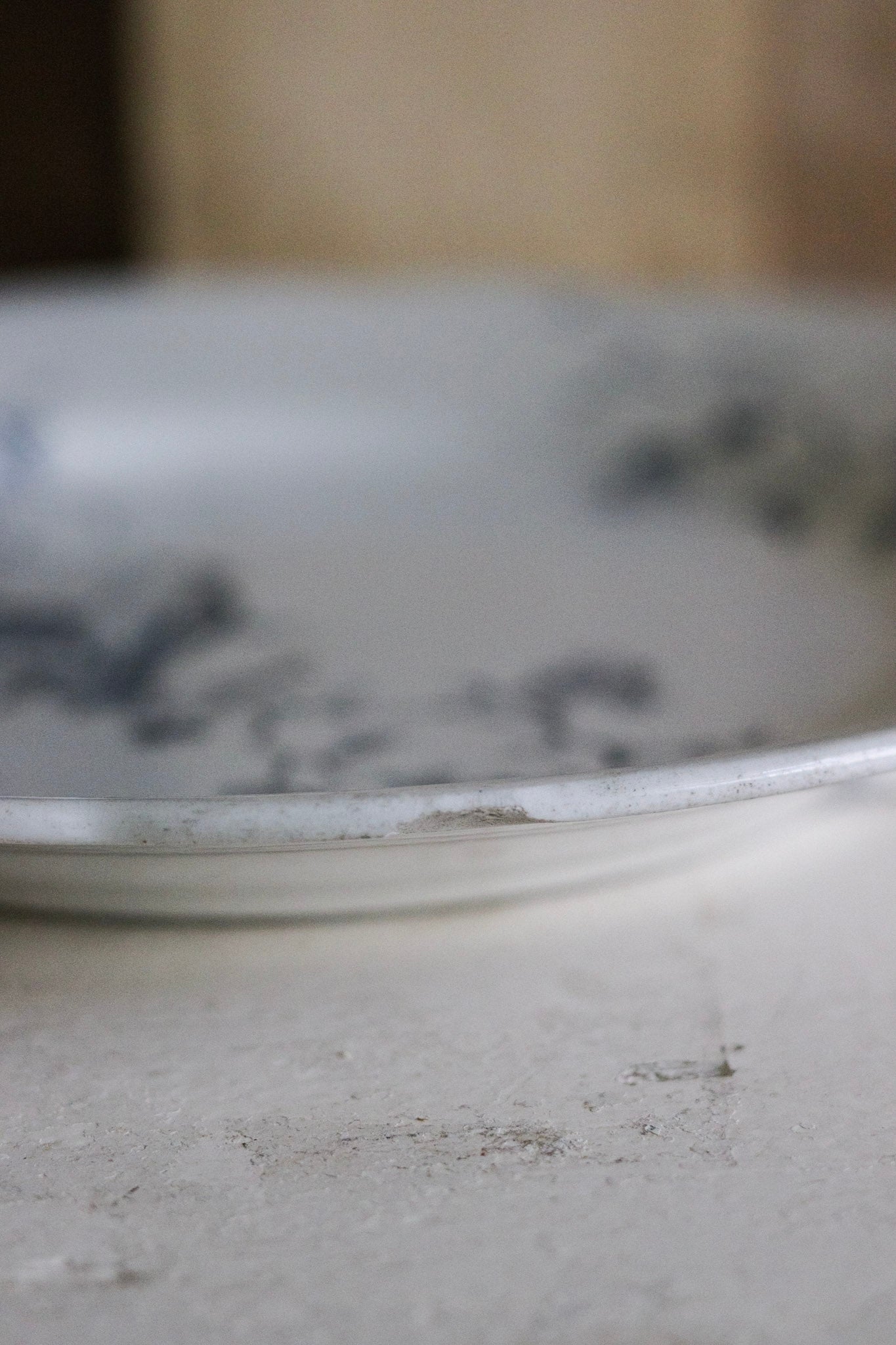 Antique French Transferware Plate with Birds