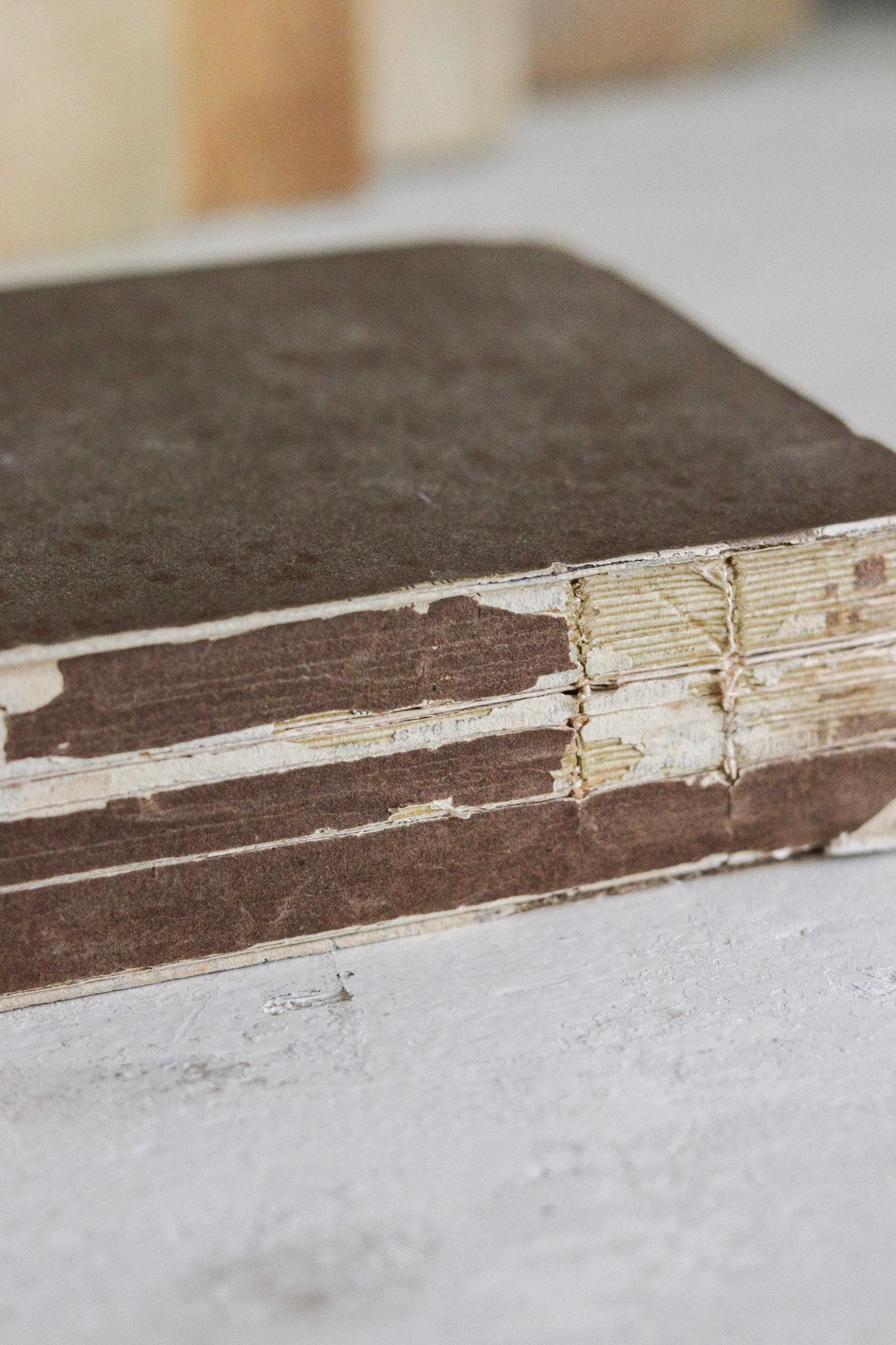 Antique British Botany Book - 1830