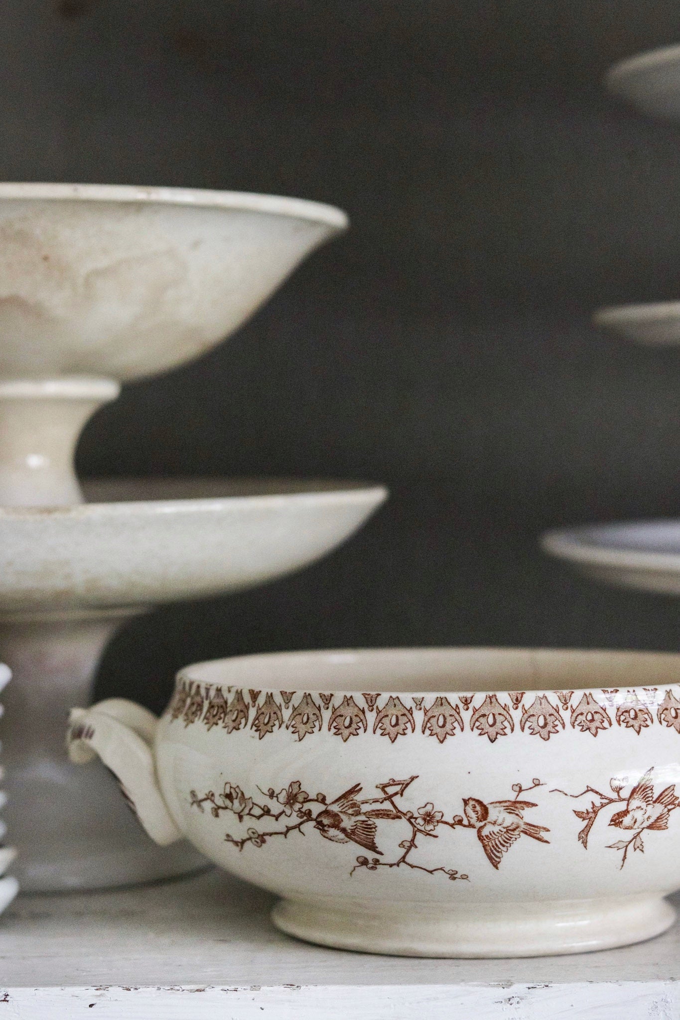 Antique French Transferware Tureen with Birds