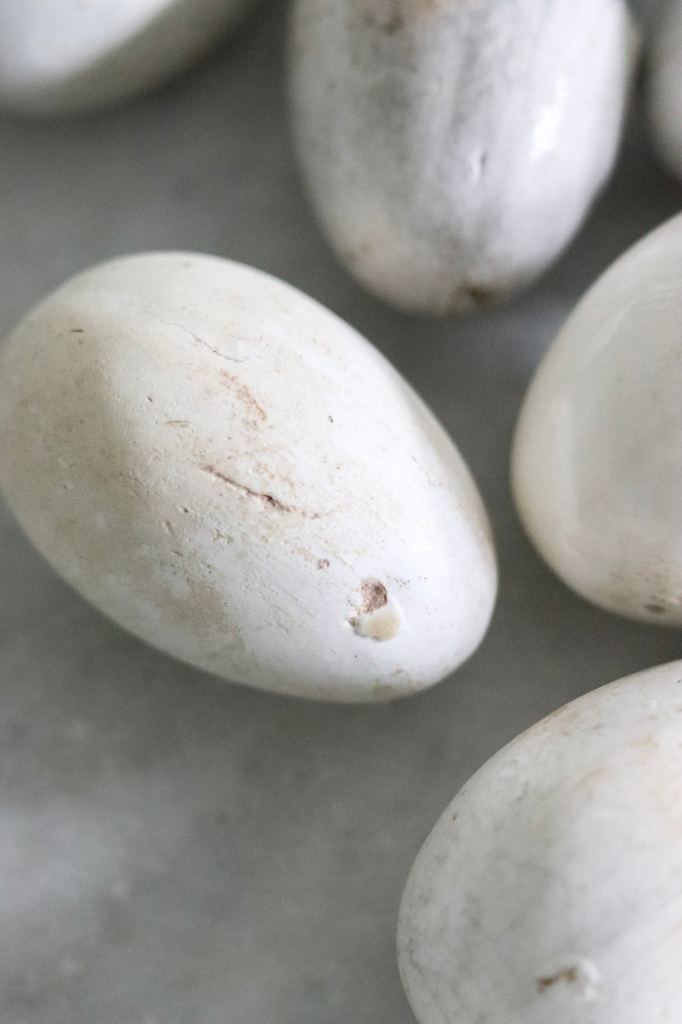 English Broody Hen Egg